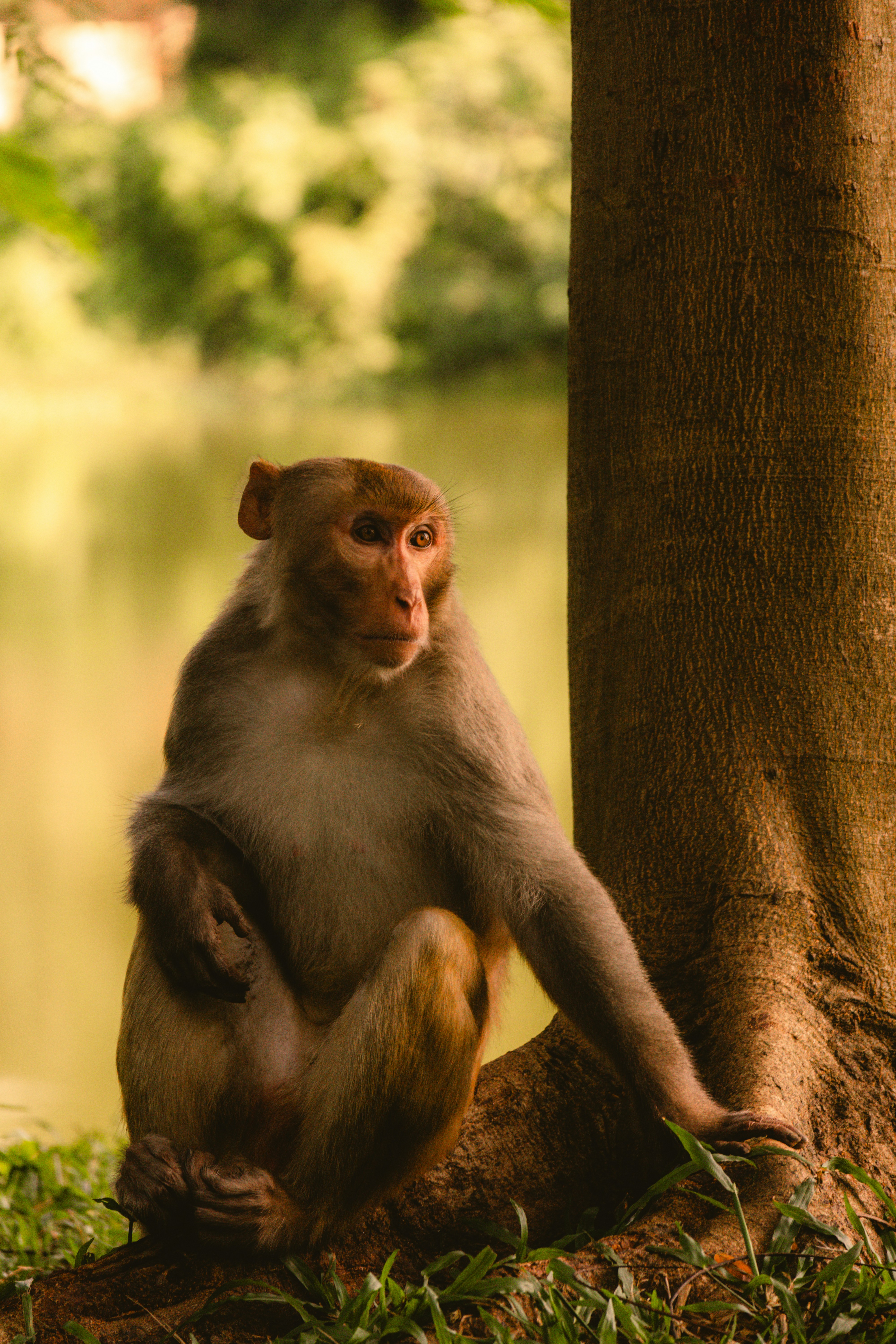 Photo by atharvad_jpeg