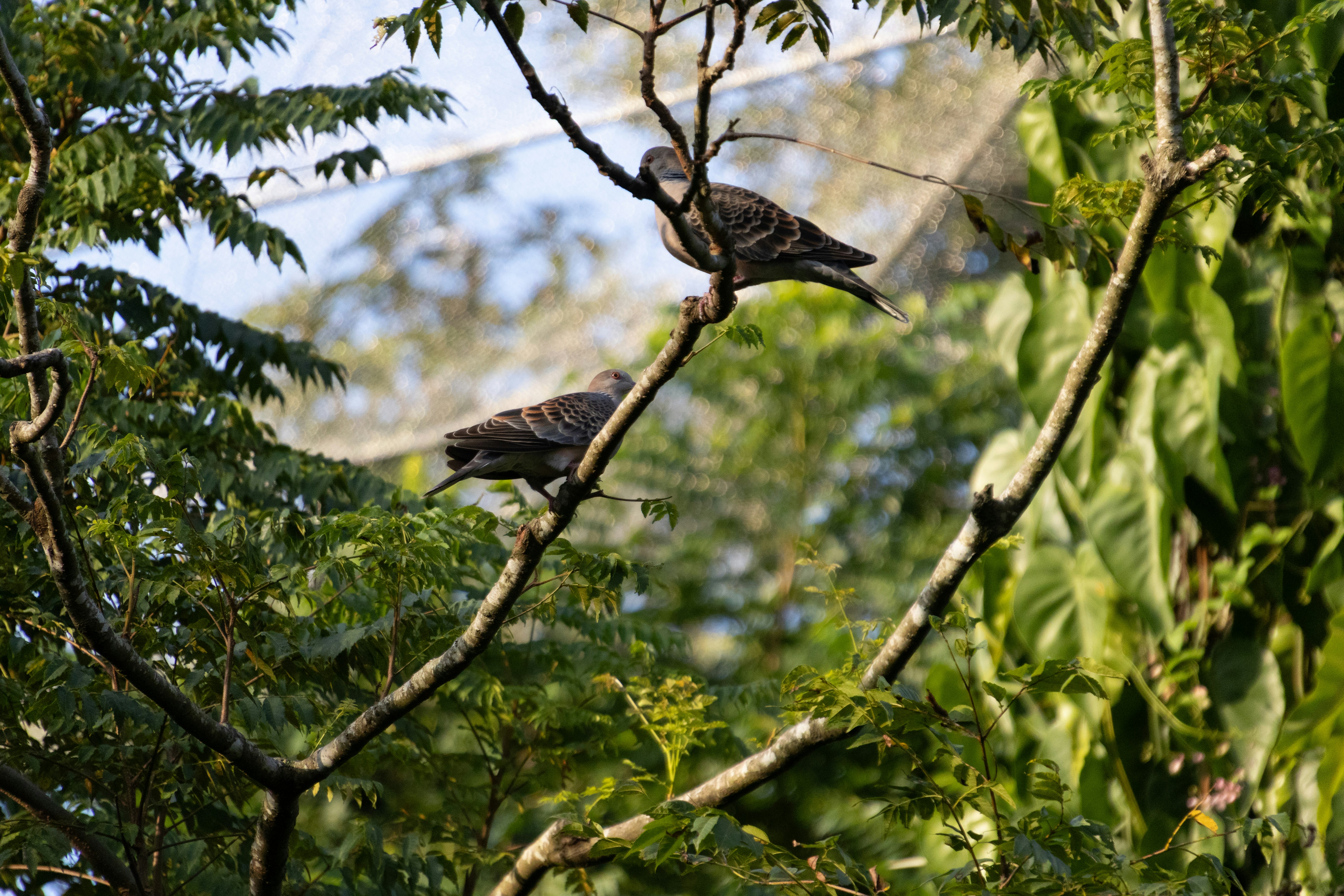 ZRU Suwmont Kościelny Leszek Zymróz Teresa