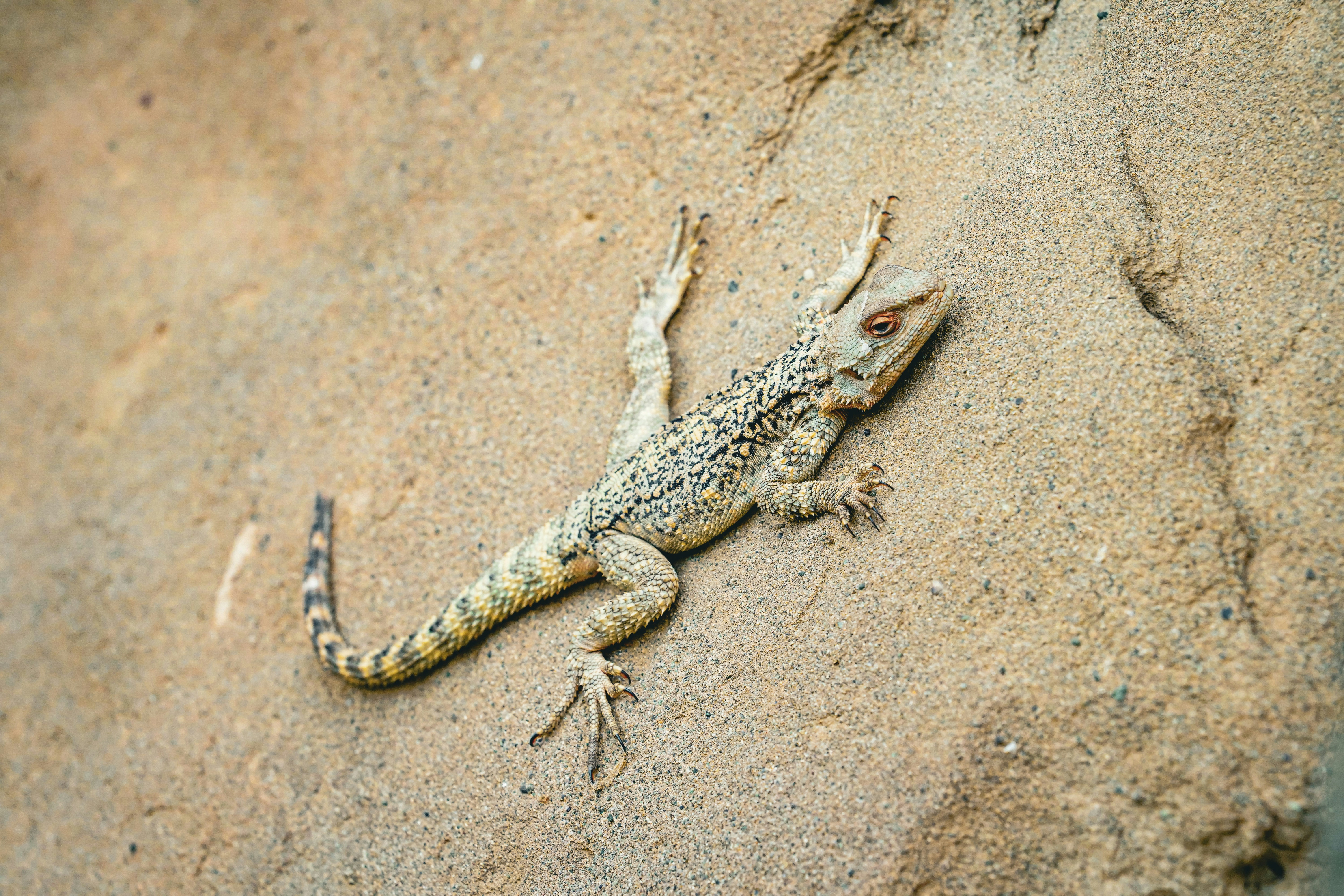 Photo by zm_fotographie