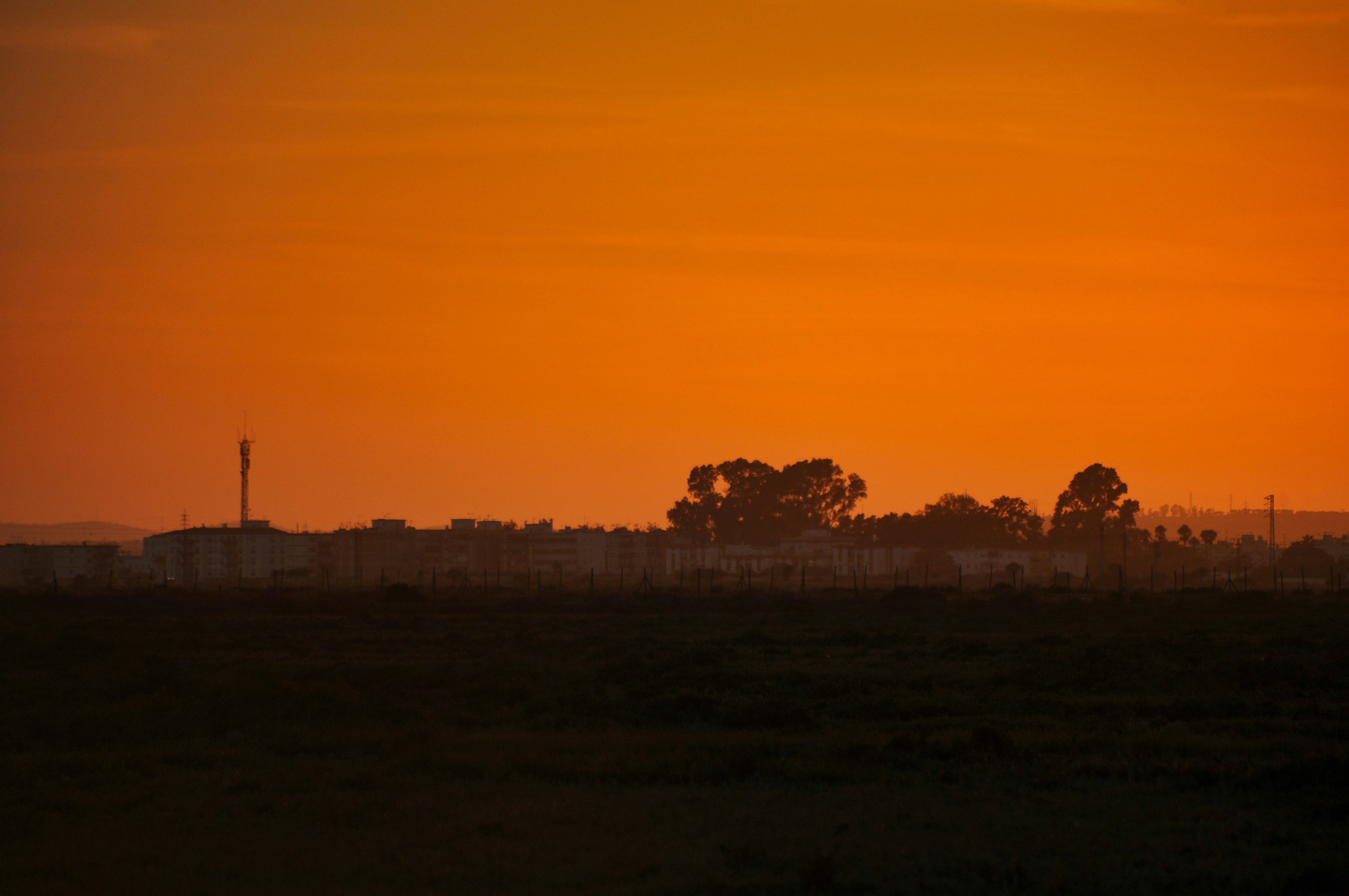 Photo by gunnarridder