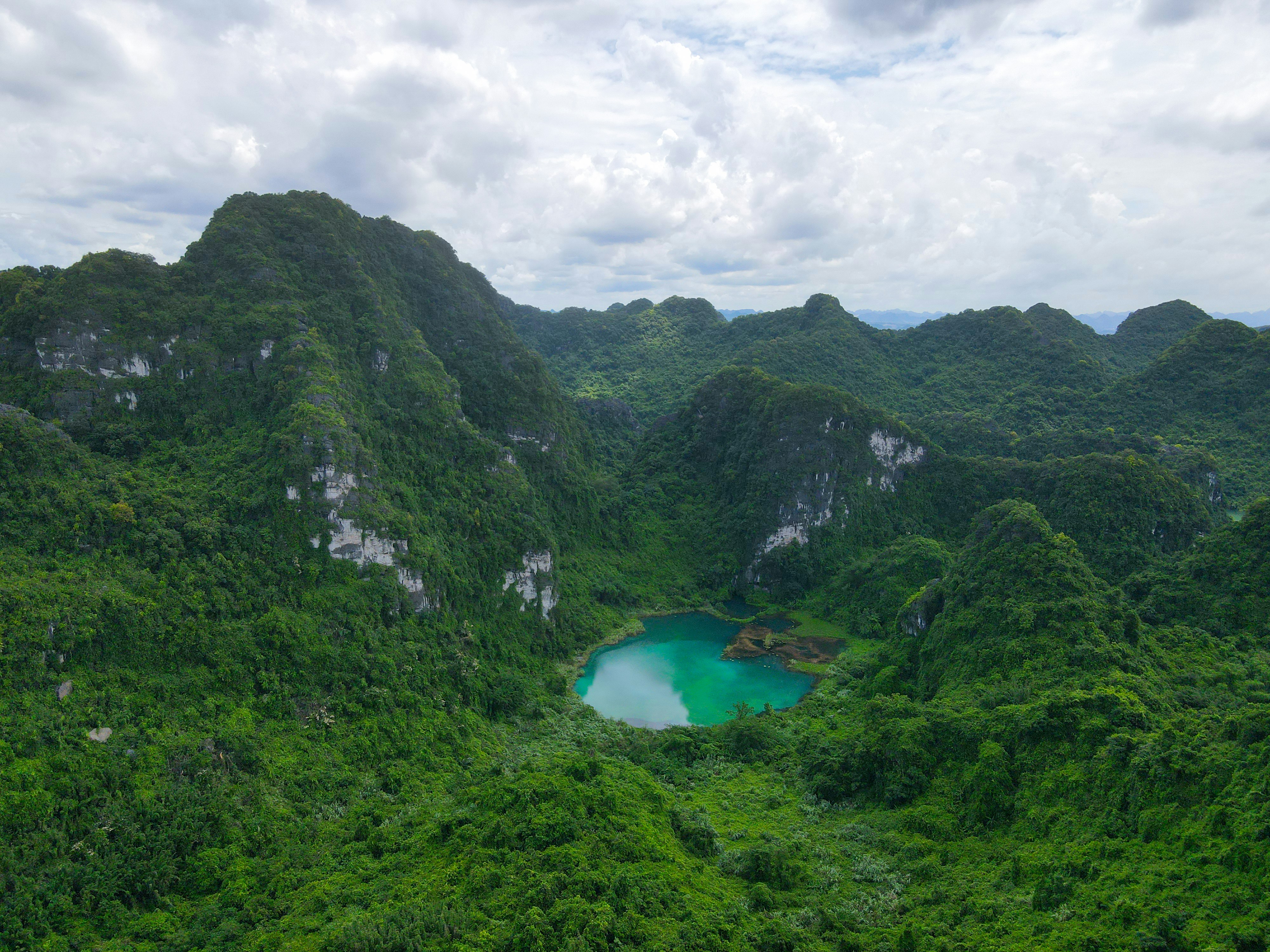 Phu Quoc's Wild Side: Waterfall Hikes and Jungle Trails the Resort Crowd Never Finds