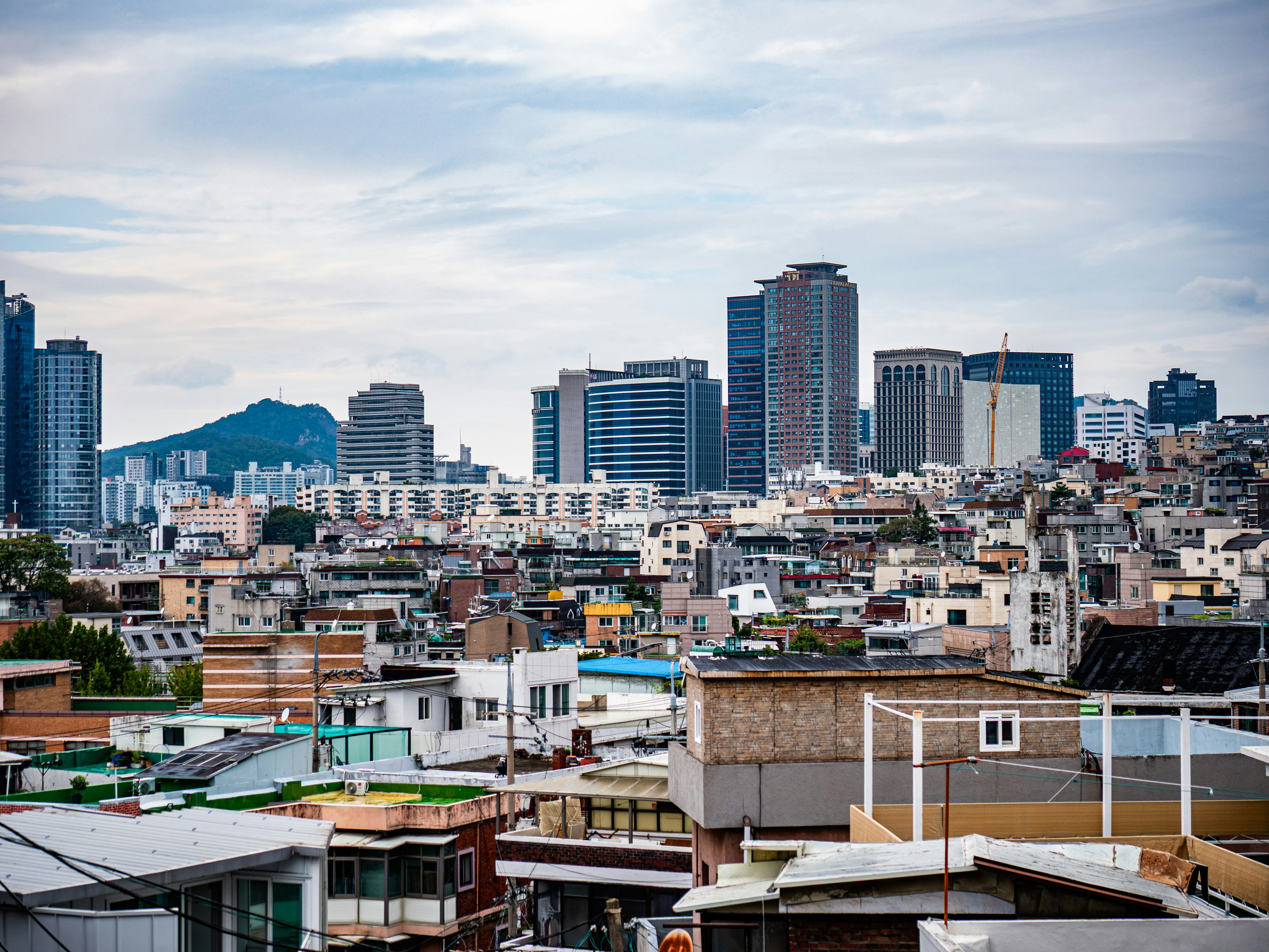 Photo by rema_green1917