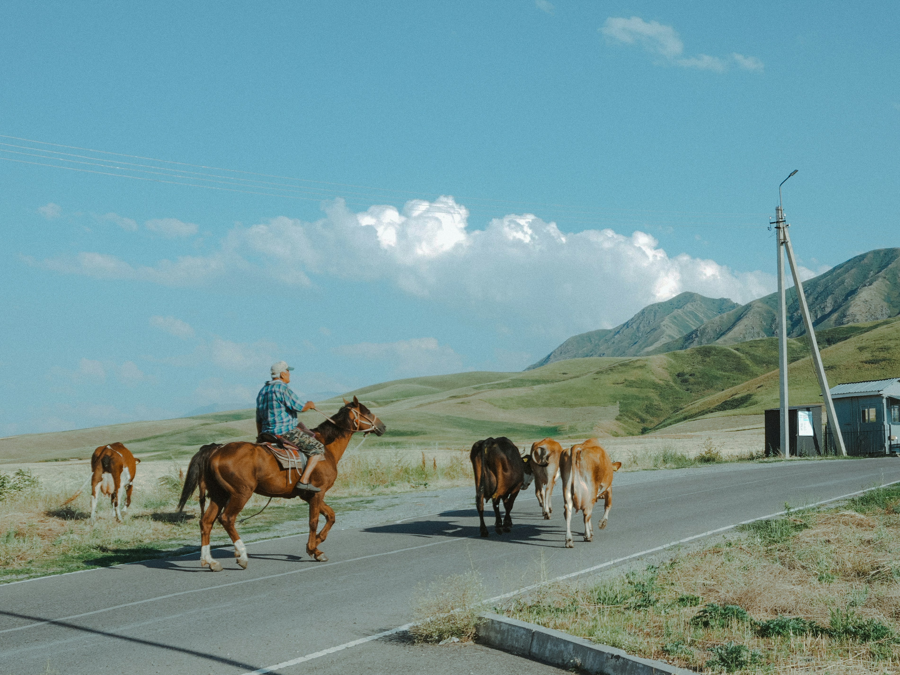 The Digital Nomad Visa Kyrgyzstan 2026: New rules for remote workers.