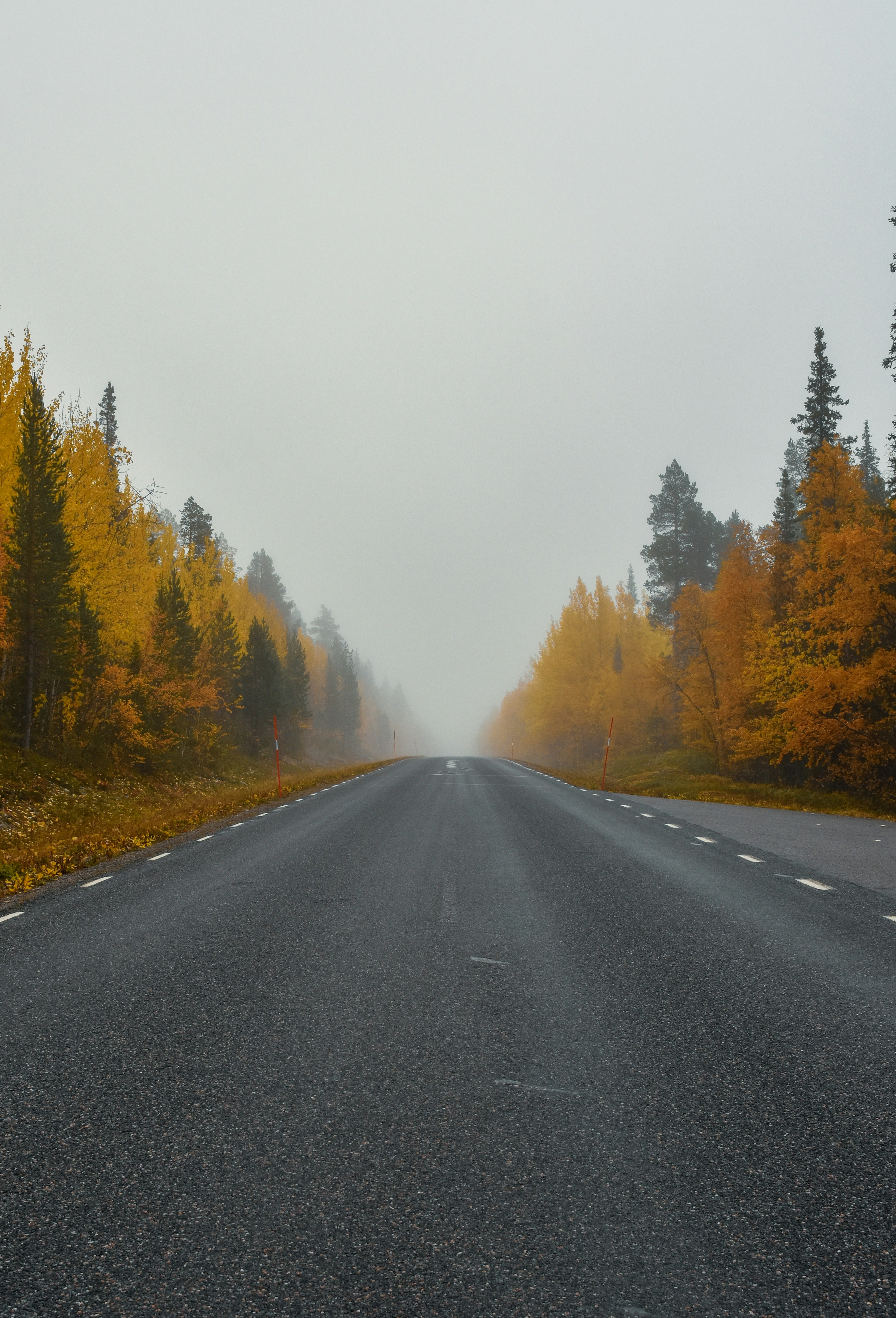 Photo by niklasjonasson