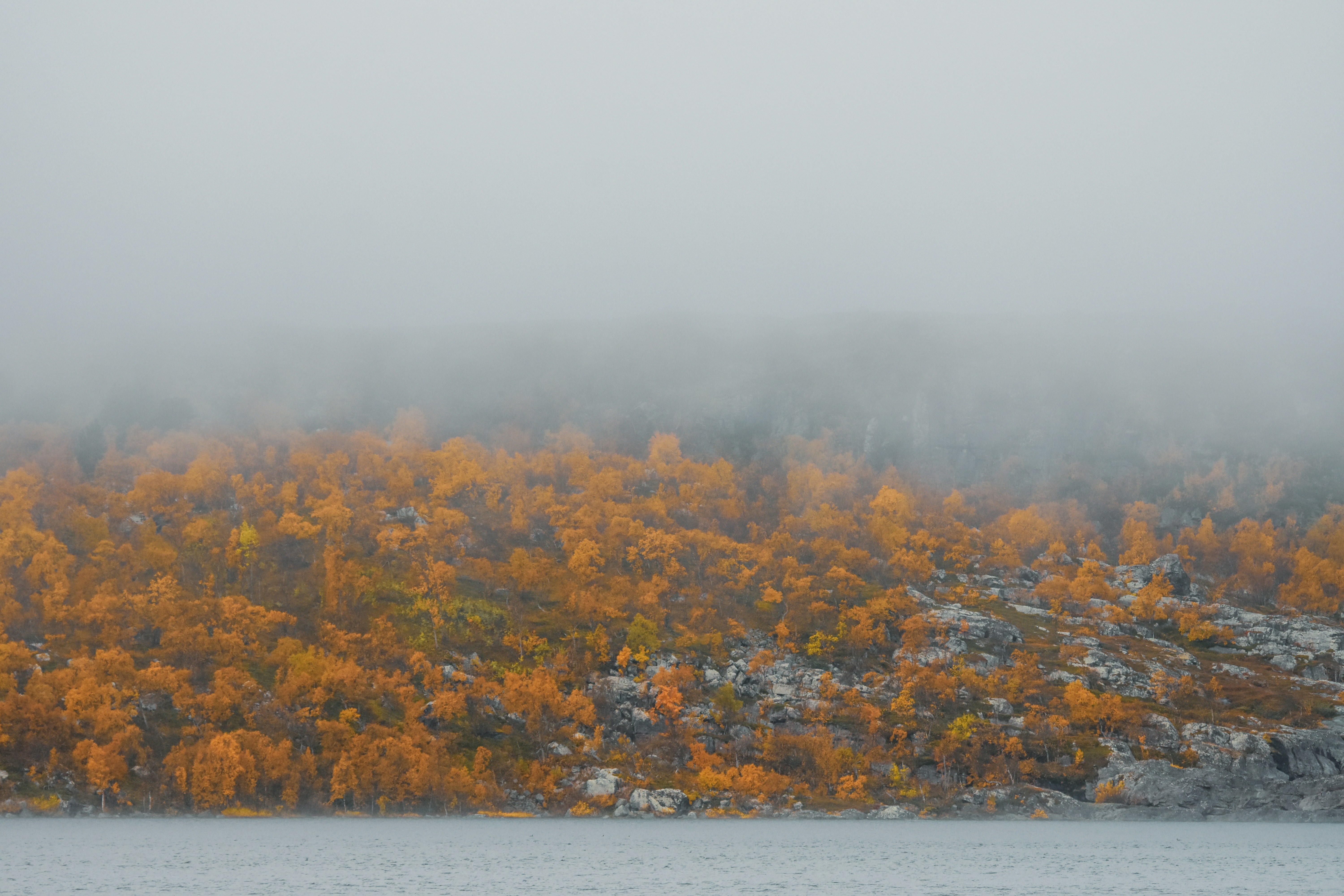 Photo by niklasjonasson