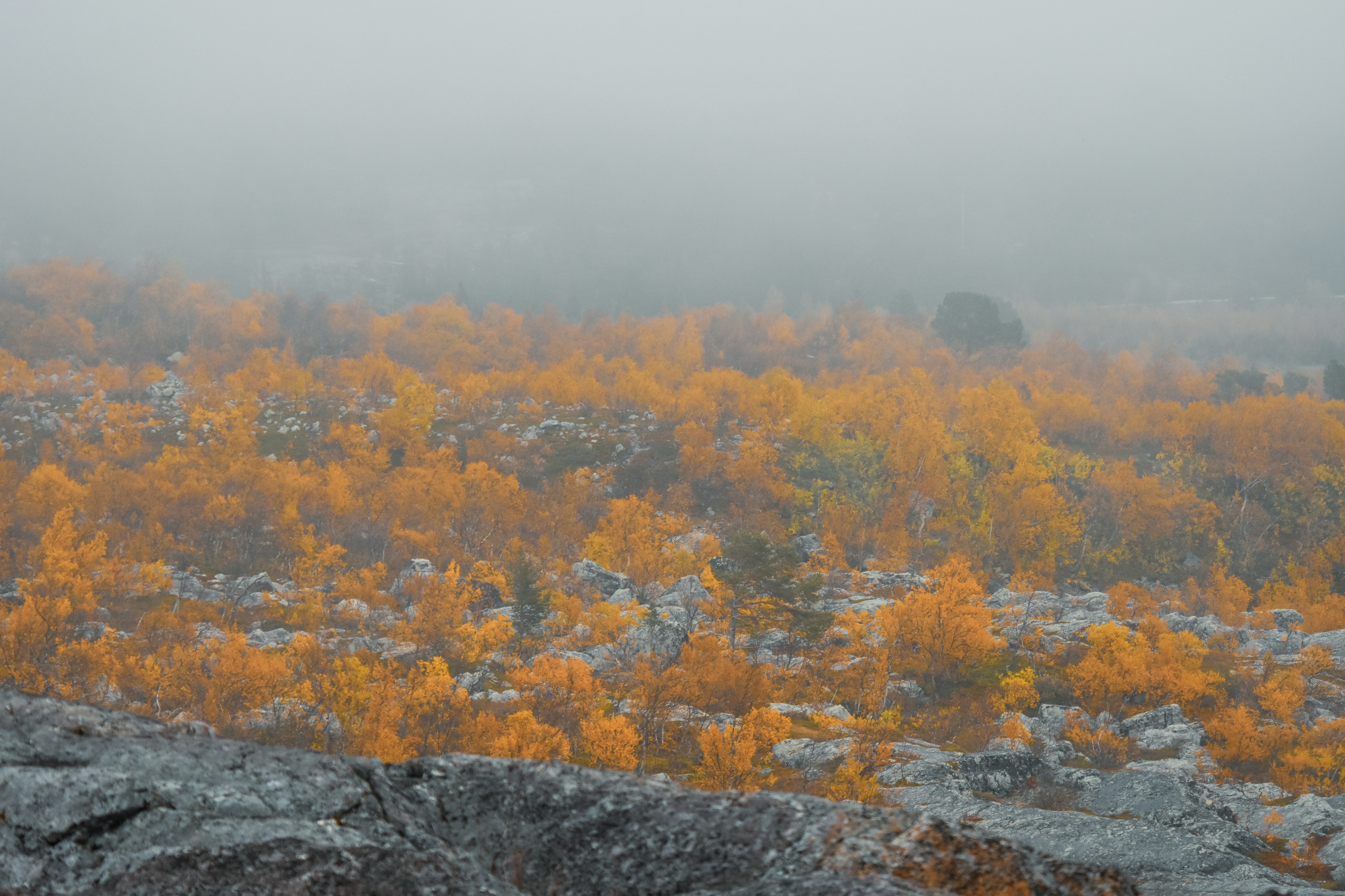 Photo by niklasjonasson