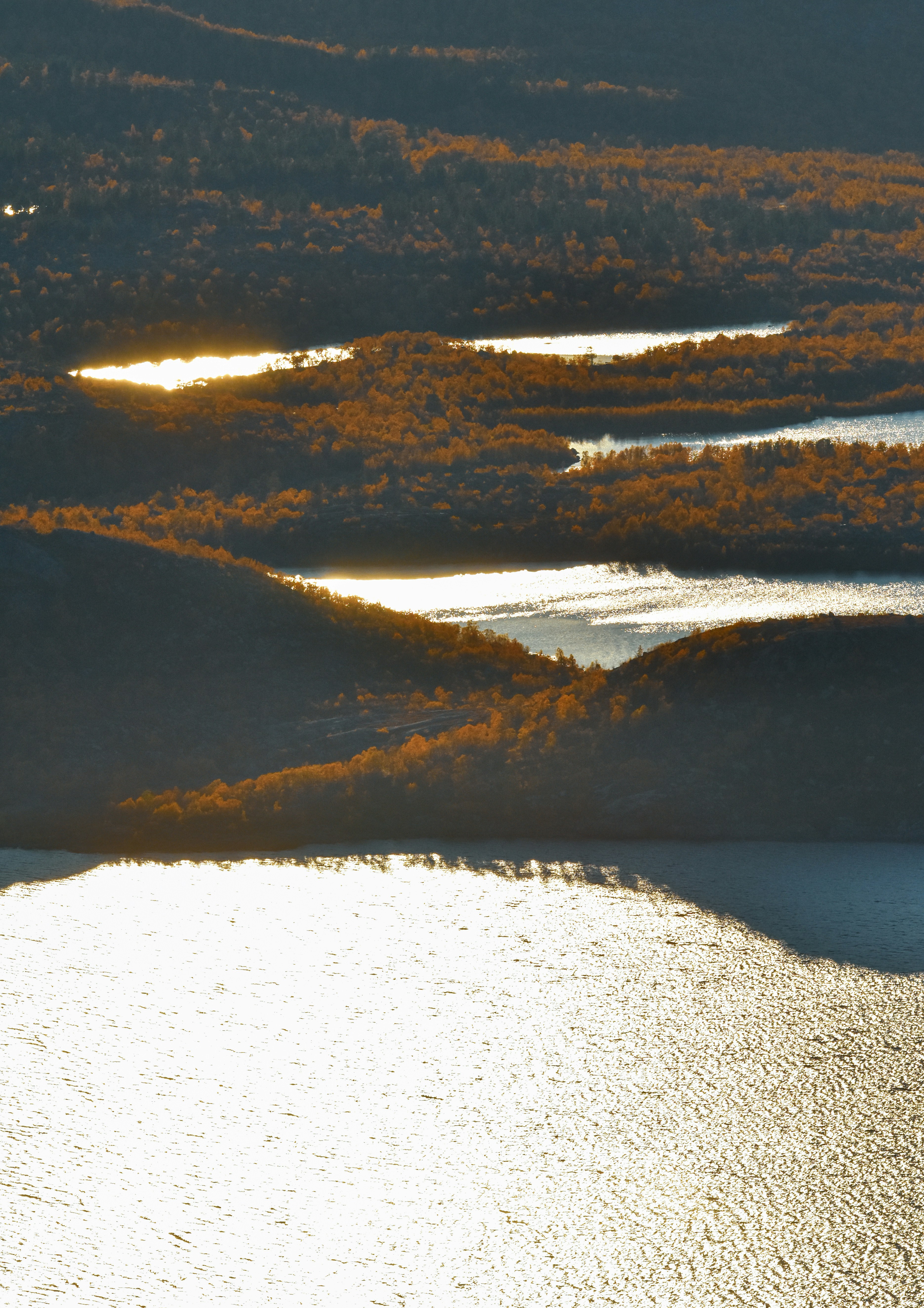 Photo by niklasjonasson