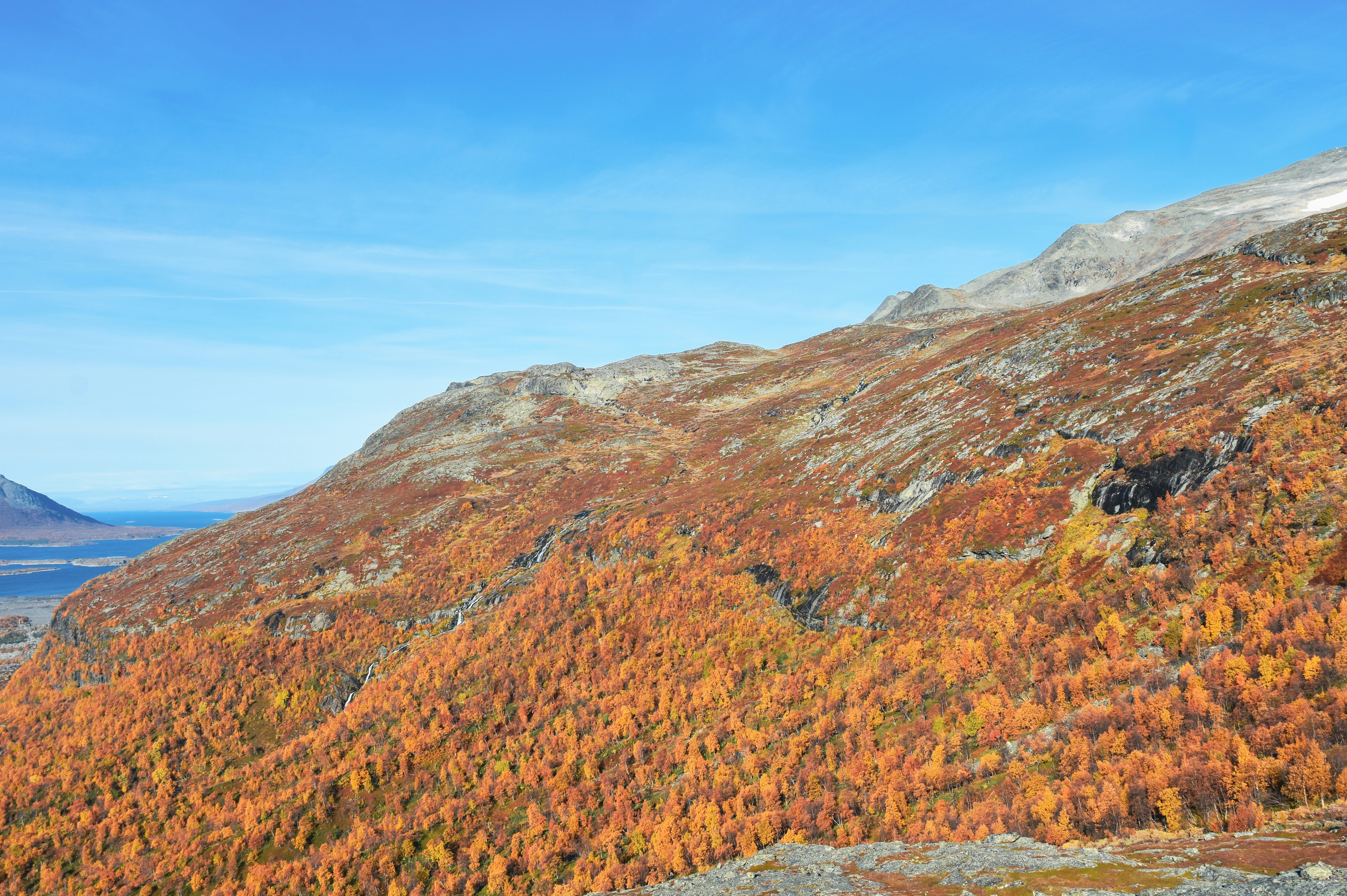 Photo by niklasjonasson