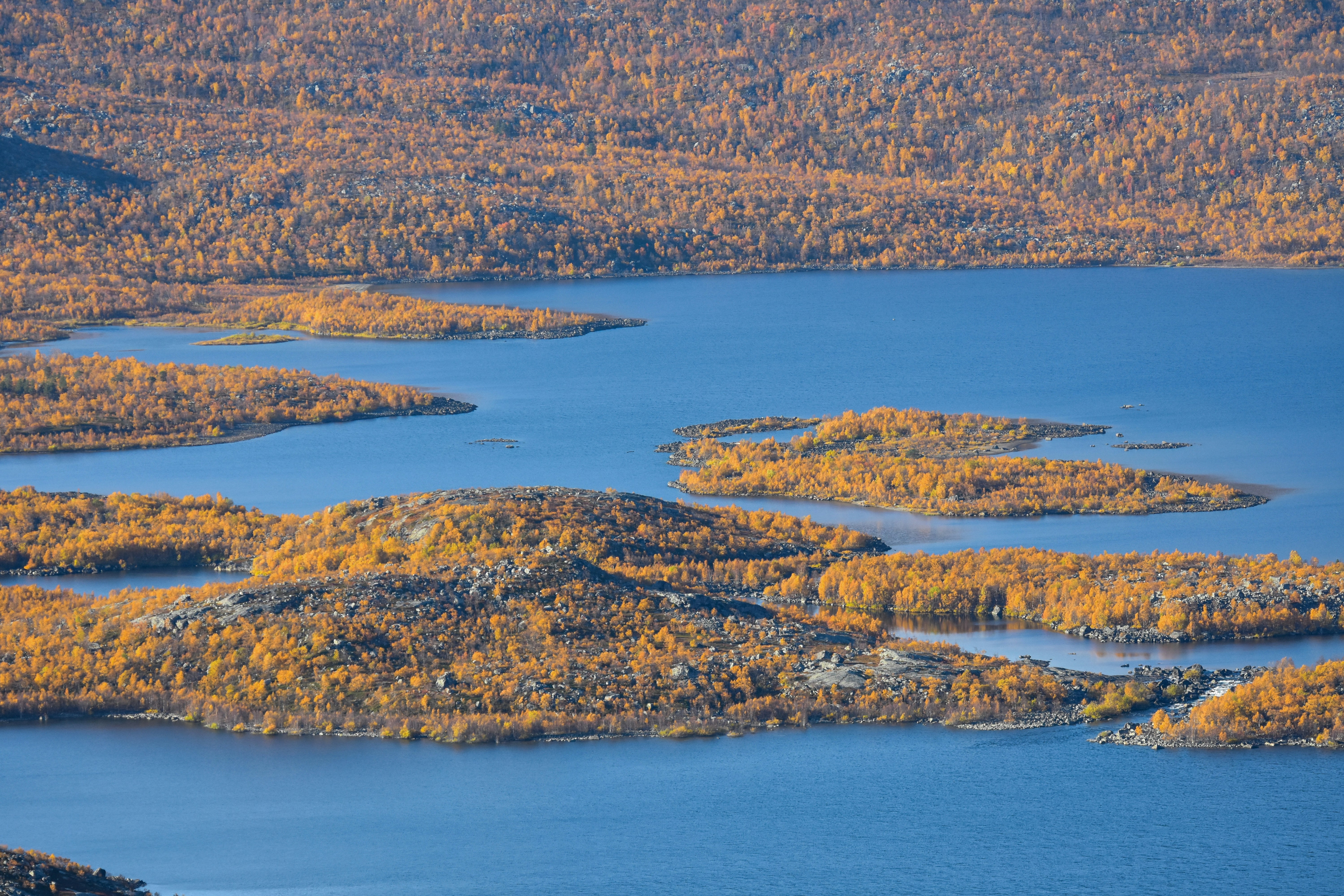 Photo by niklasjonasson