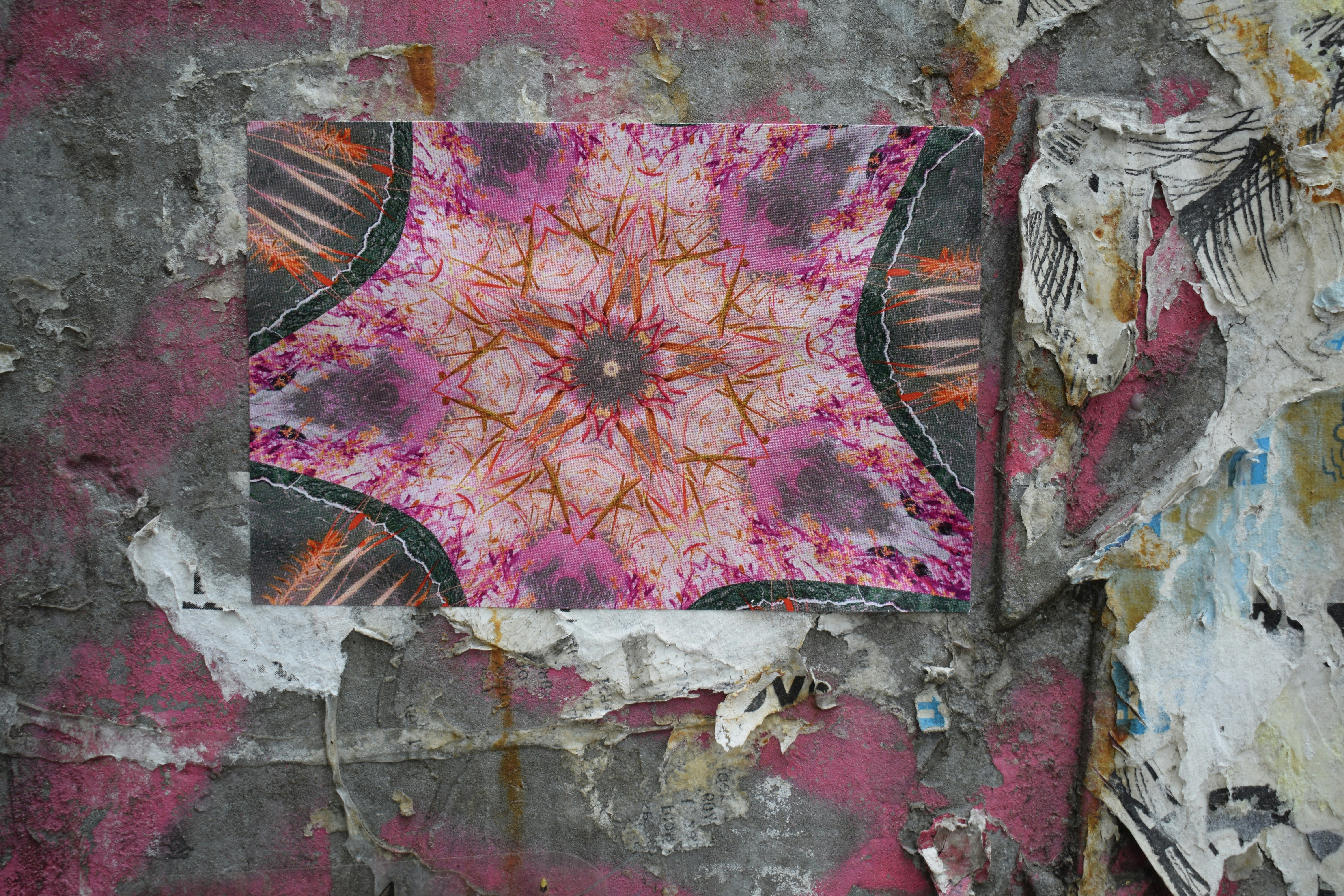 mindfulness wallpaper, wallpaper, Bisnis Insanul Fahmi: Peluang, Strategi, dan Tips Sukses 2