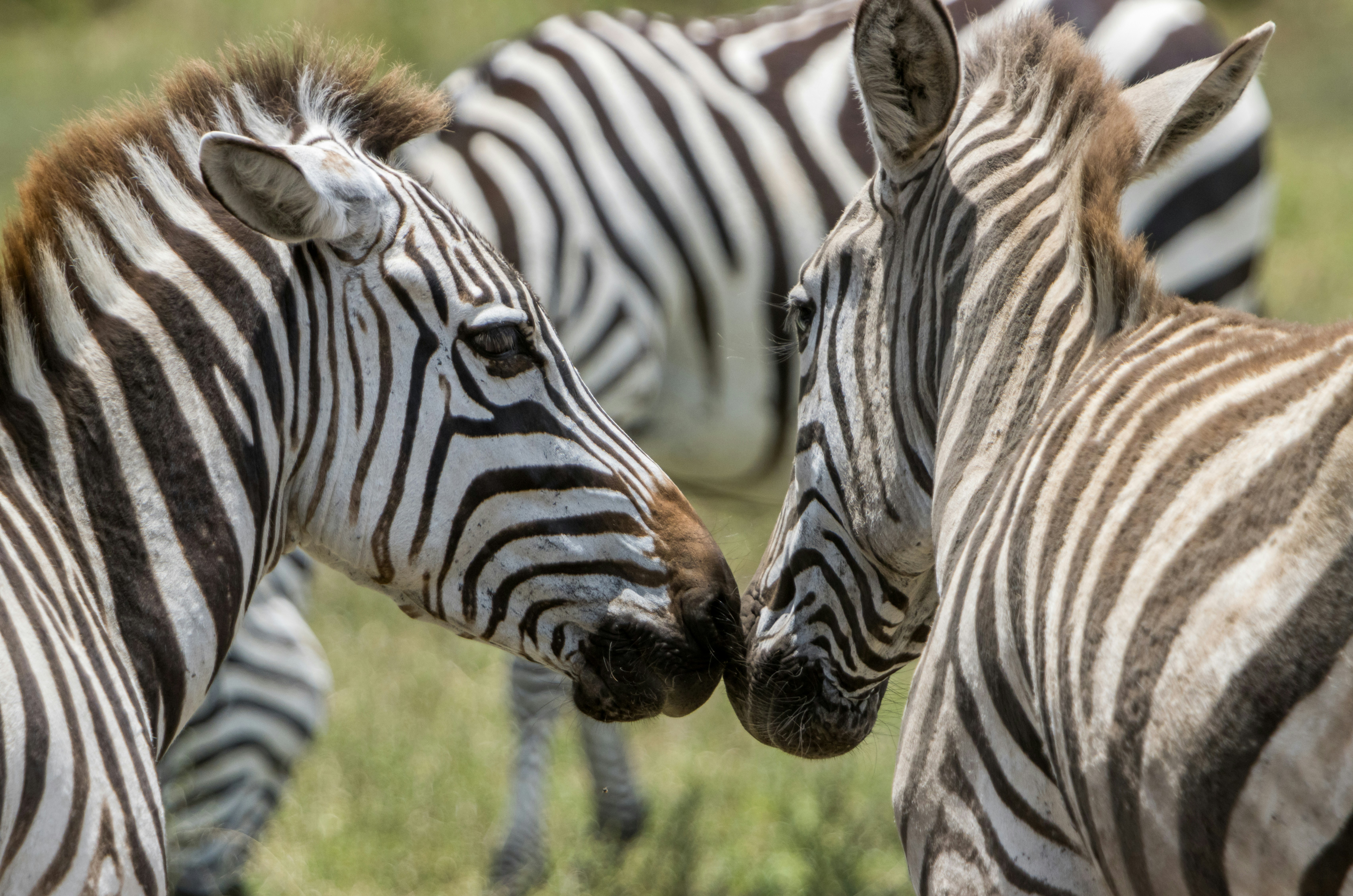 Photo by anibal_paradisi