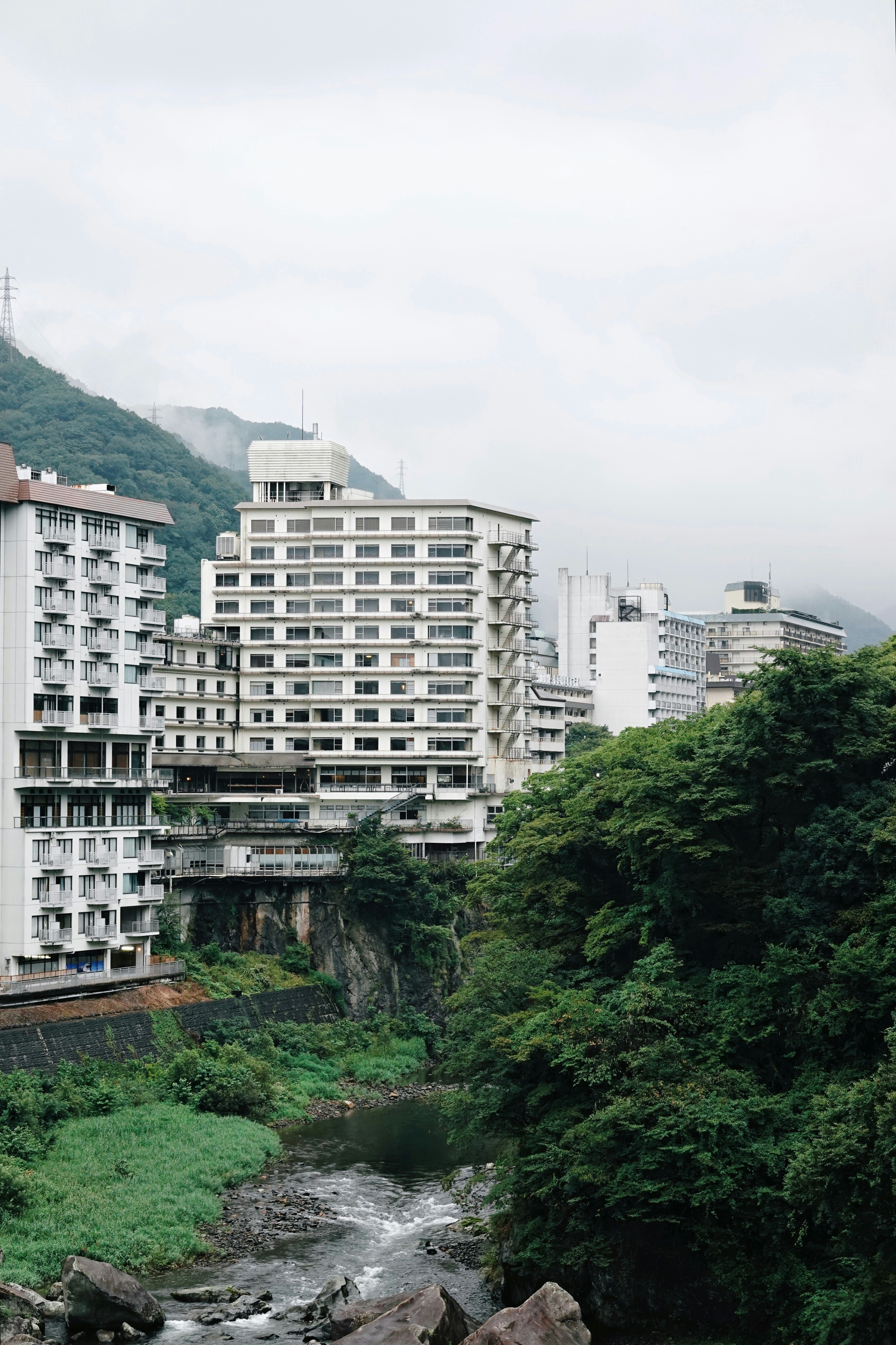 Photo by yungchi1104