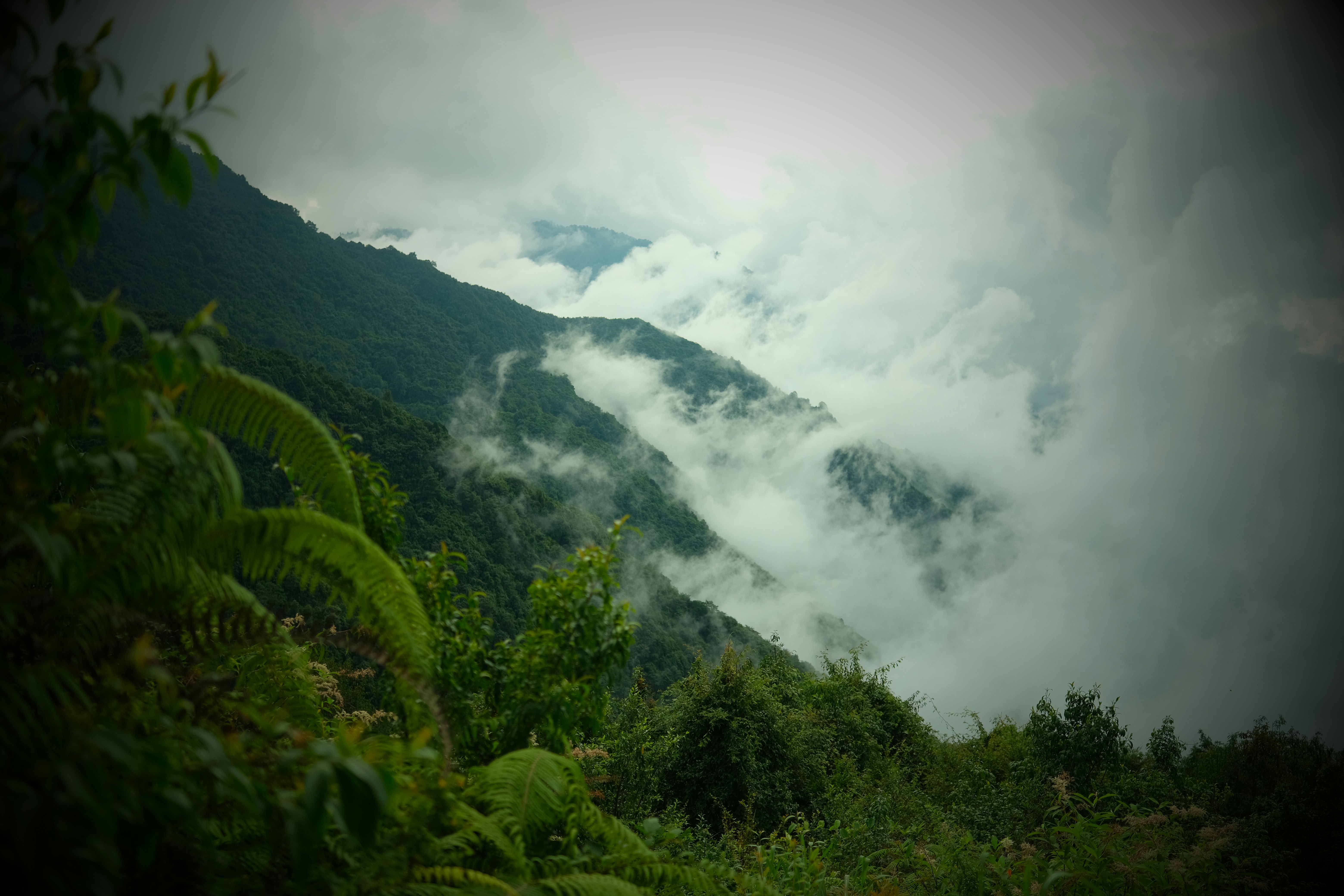 Misty mountains with lush green foliage and clouds