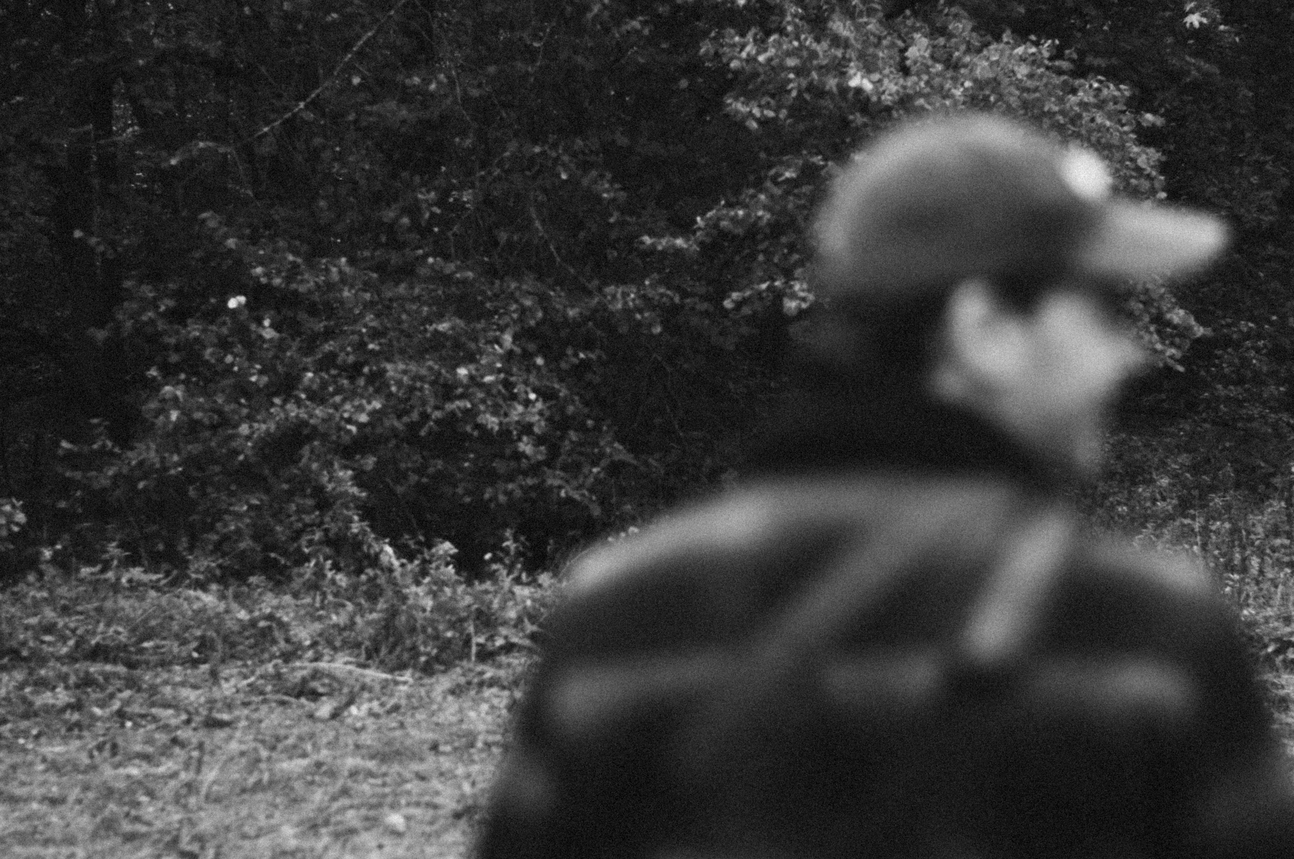 Photo by kulikovnik2