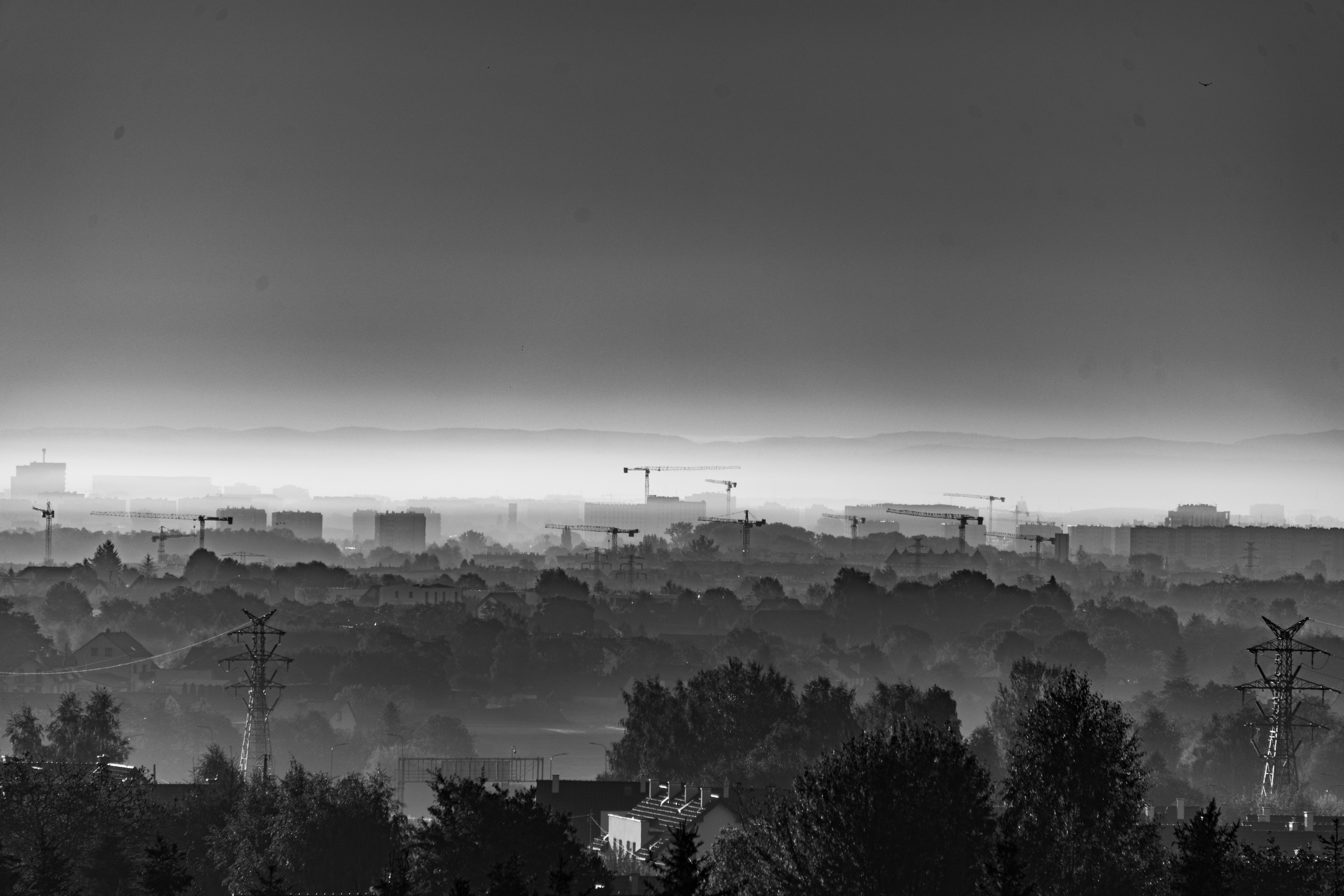 Nebeliges Stadtbild mit Bäumen und Gebäuden in der Ferne.