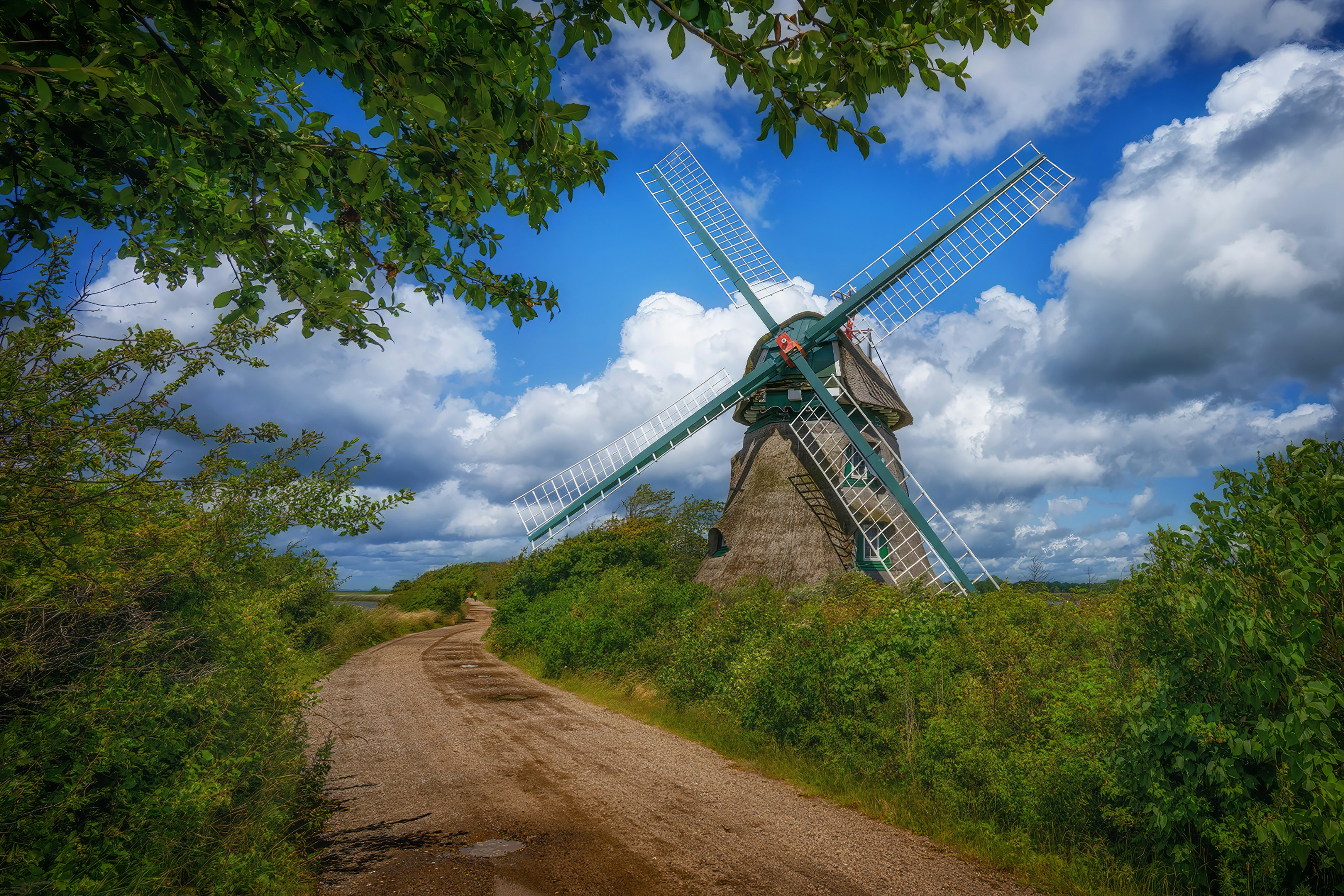 Photo by steffographie