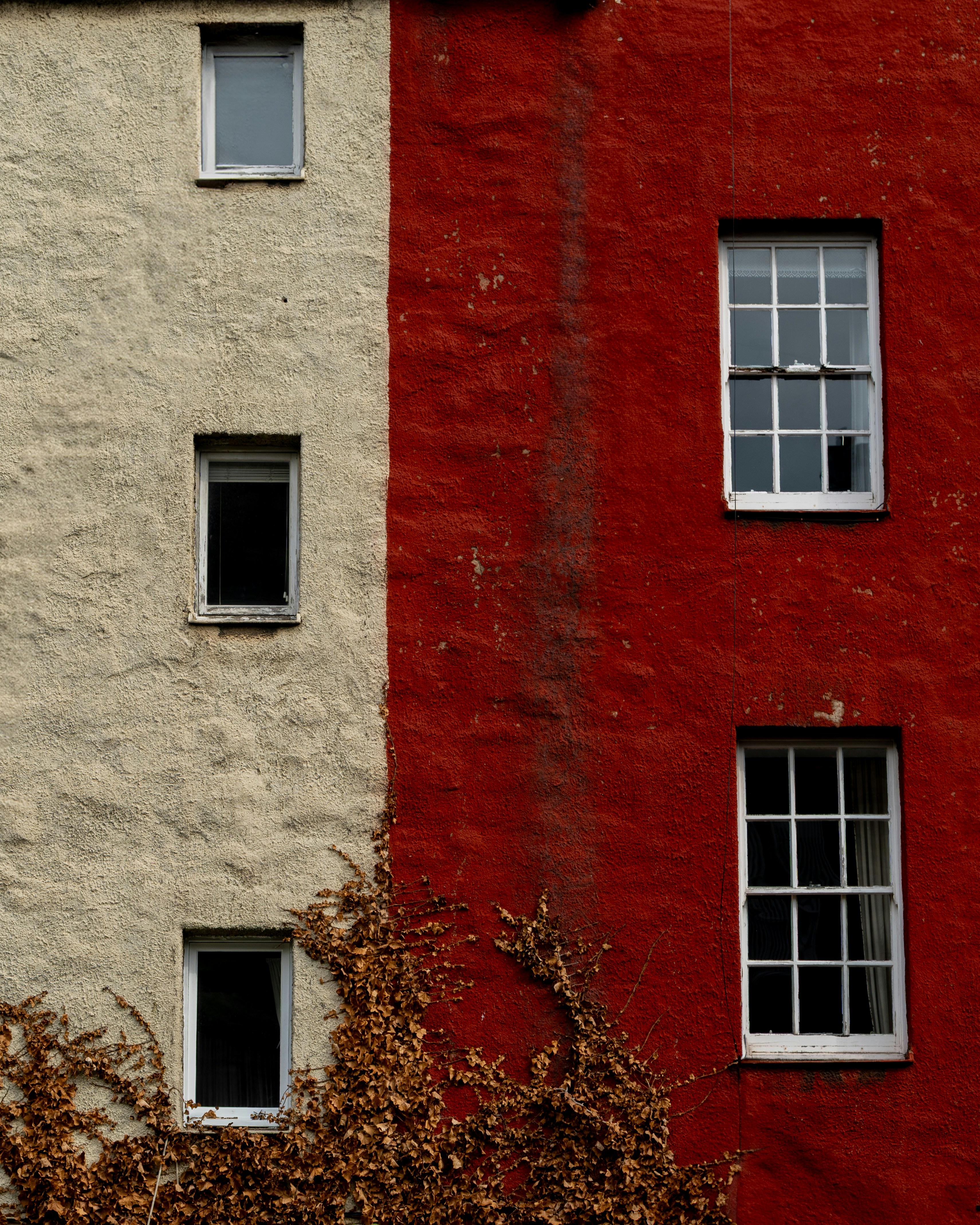 Photo by eduartography