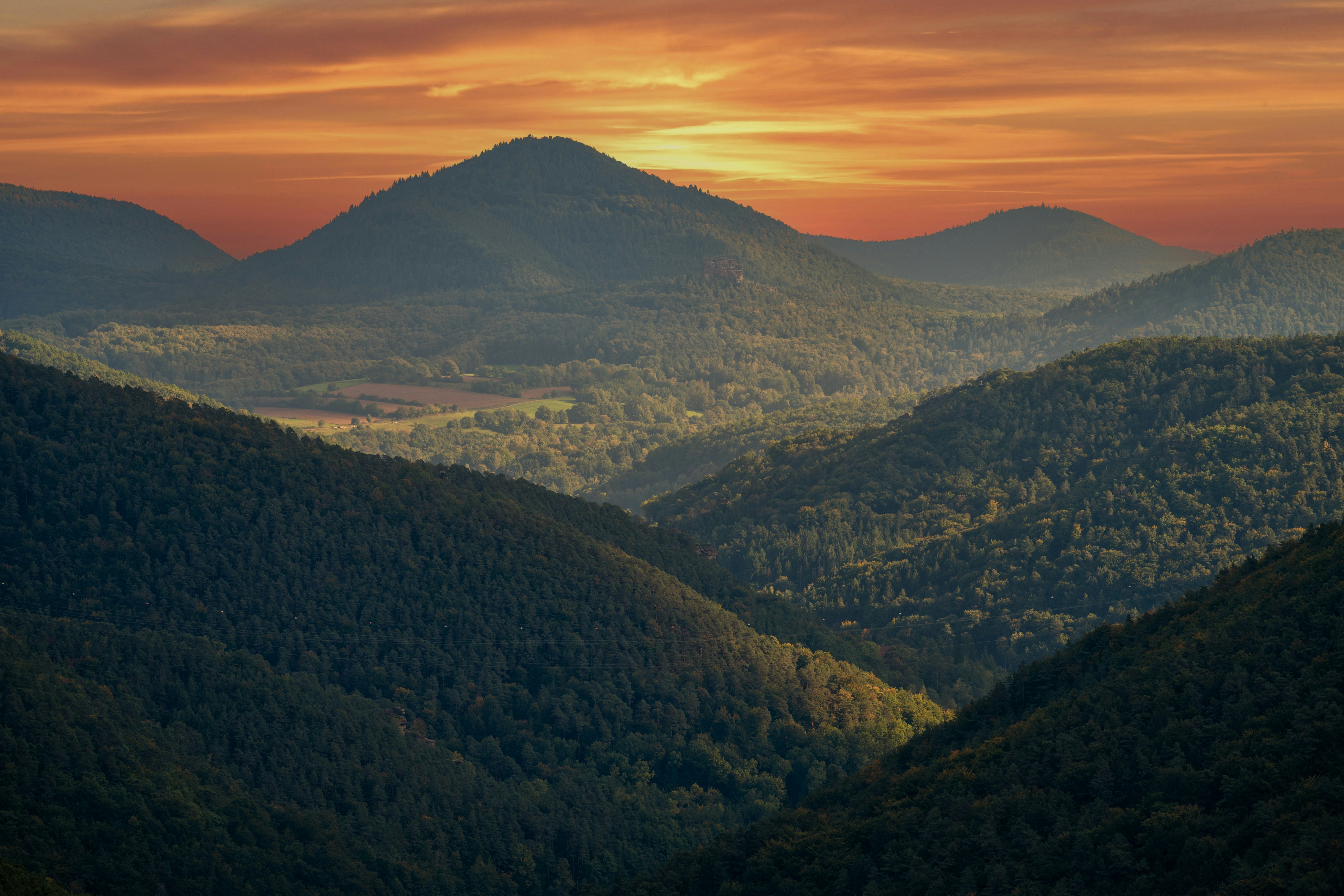 Photo by steffographie