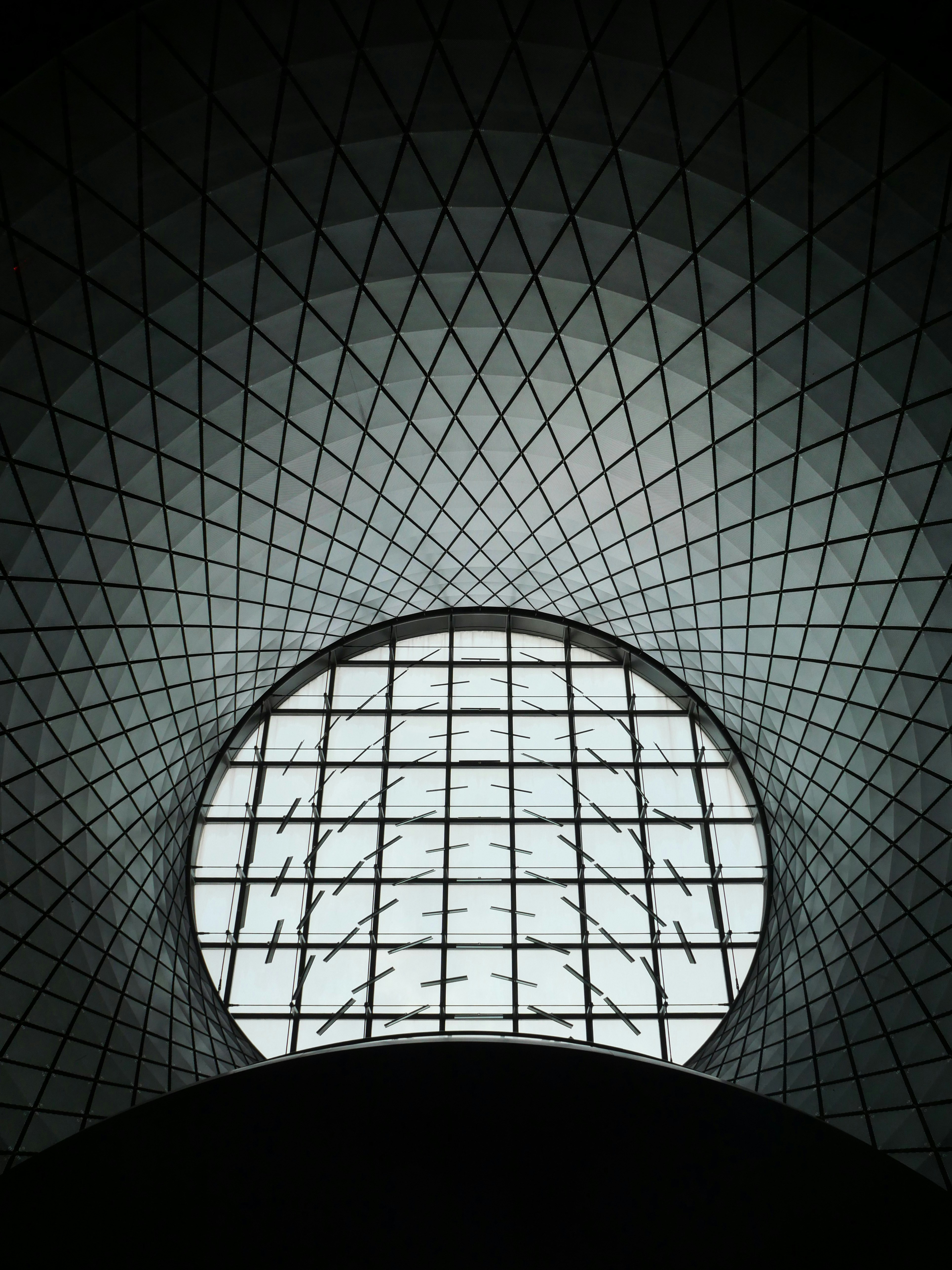 Photo by nimbus_vulpis