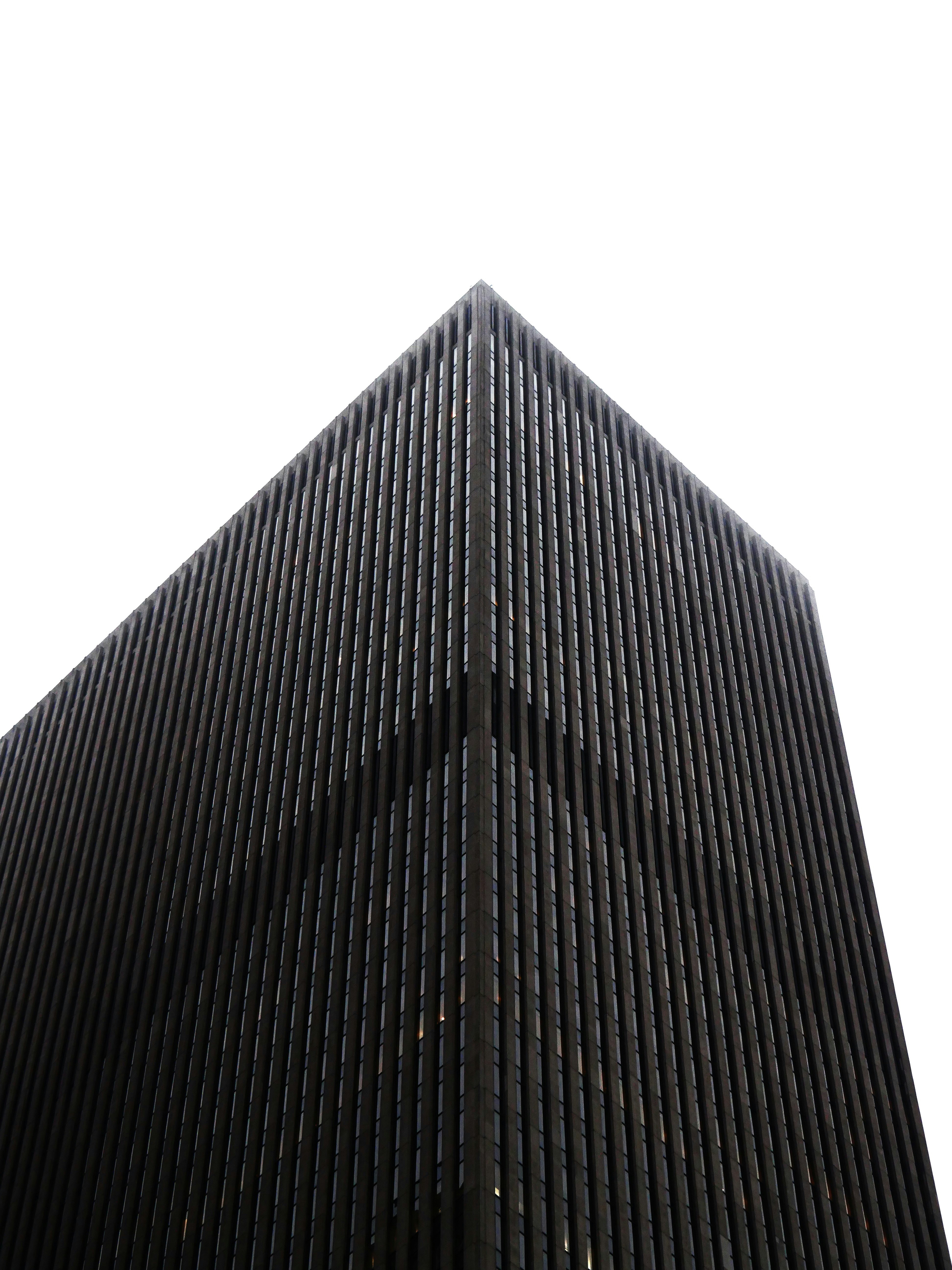 Photo by nimbus_vulpis