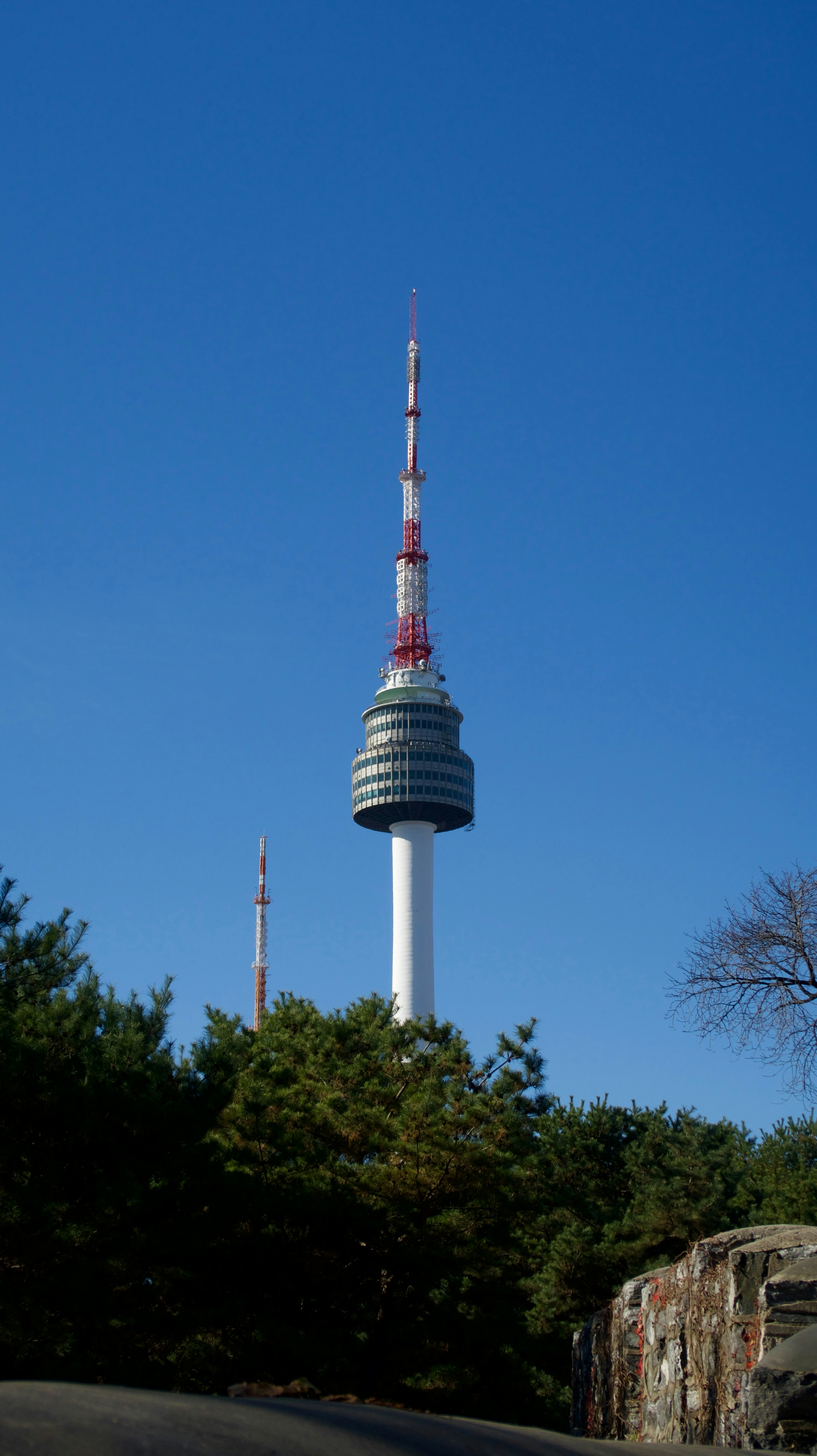 Photo by idontneedacameratocaptureit