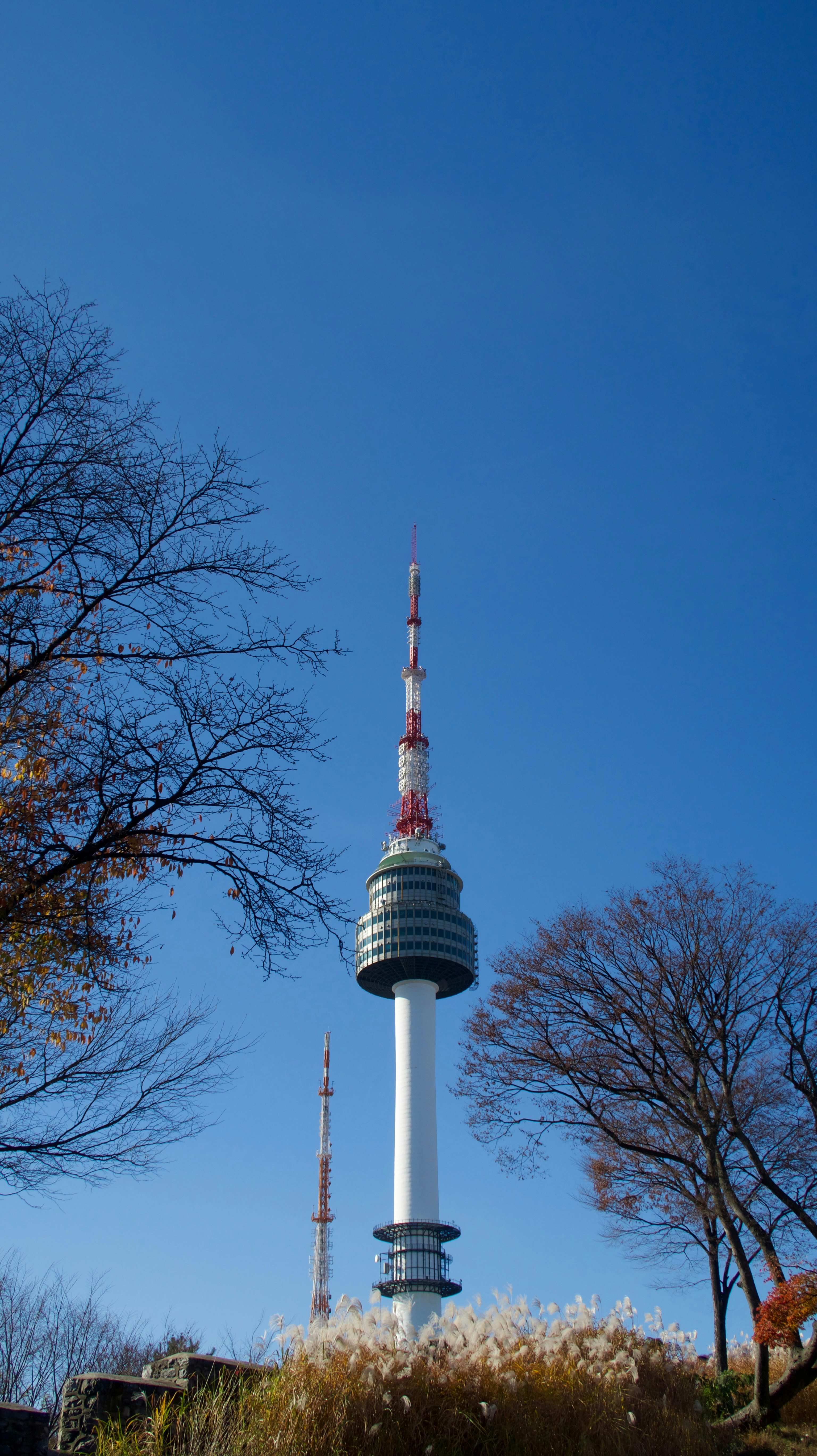 Photo by idontneedacameratocaptureit