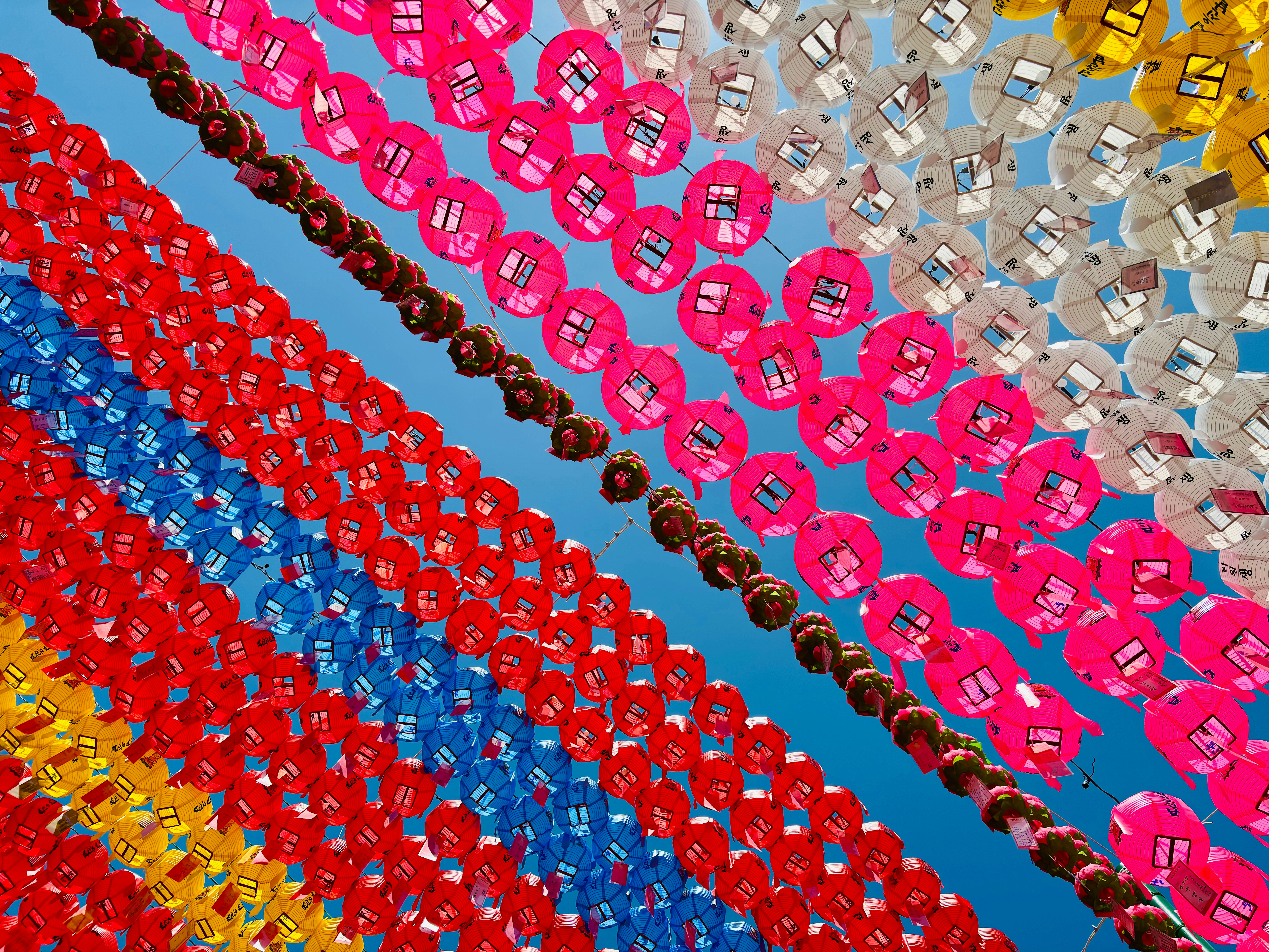 Photo by idontneedacameratocaptureit