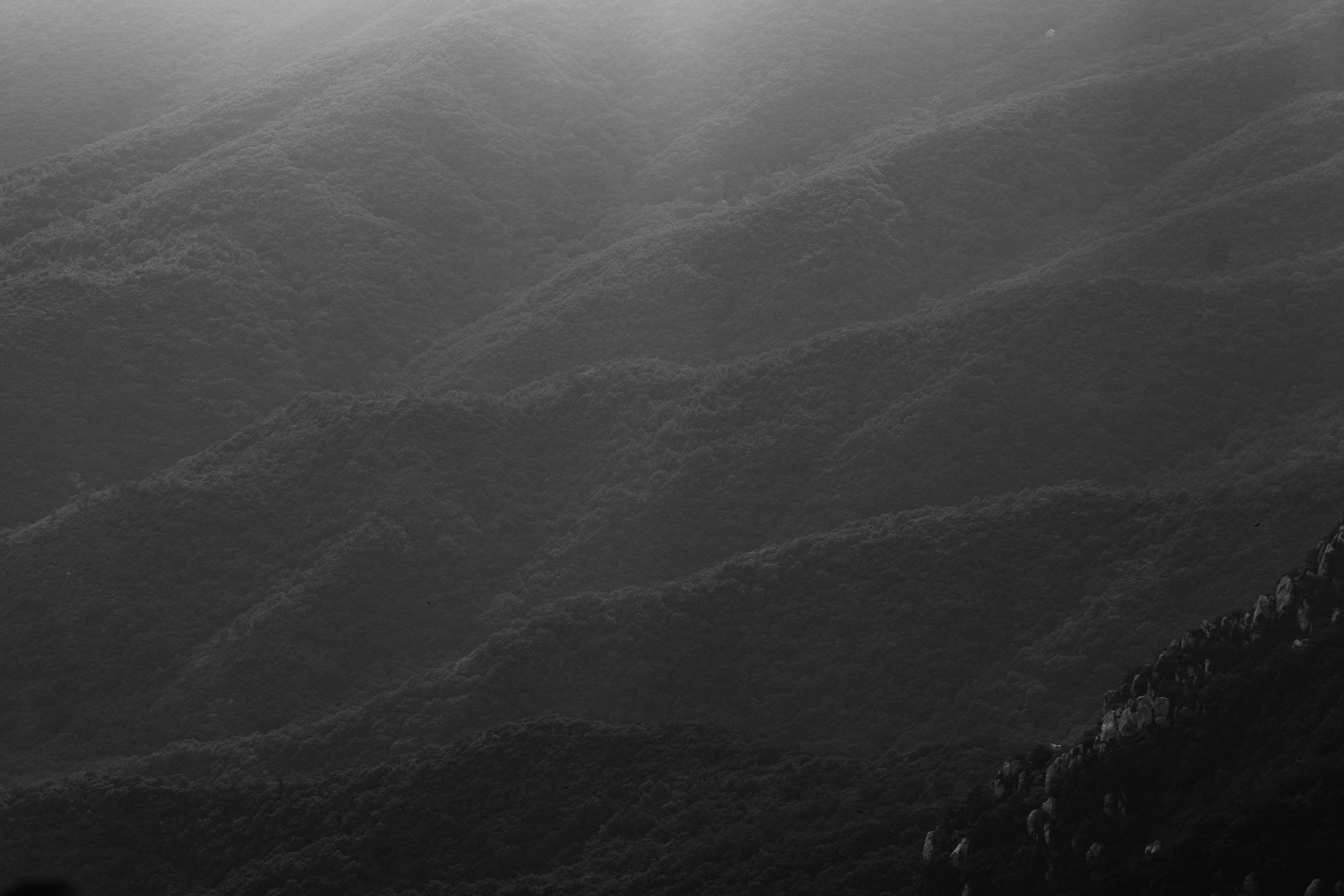 Photo by summerobelisk