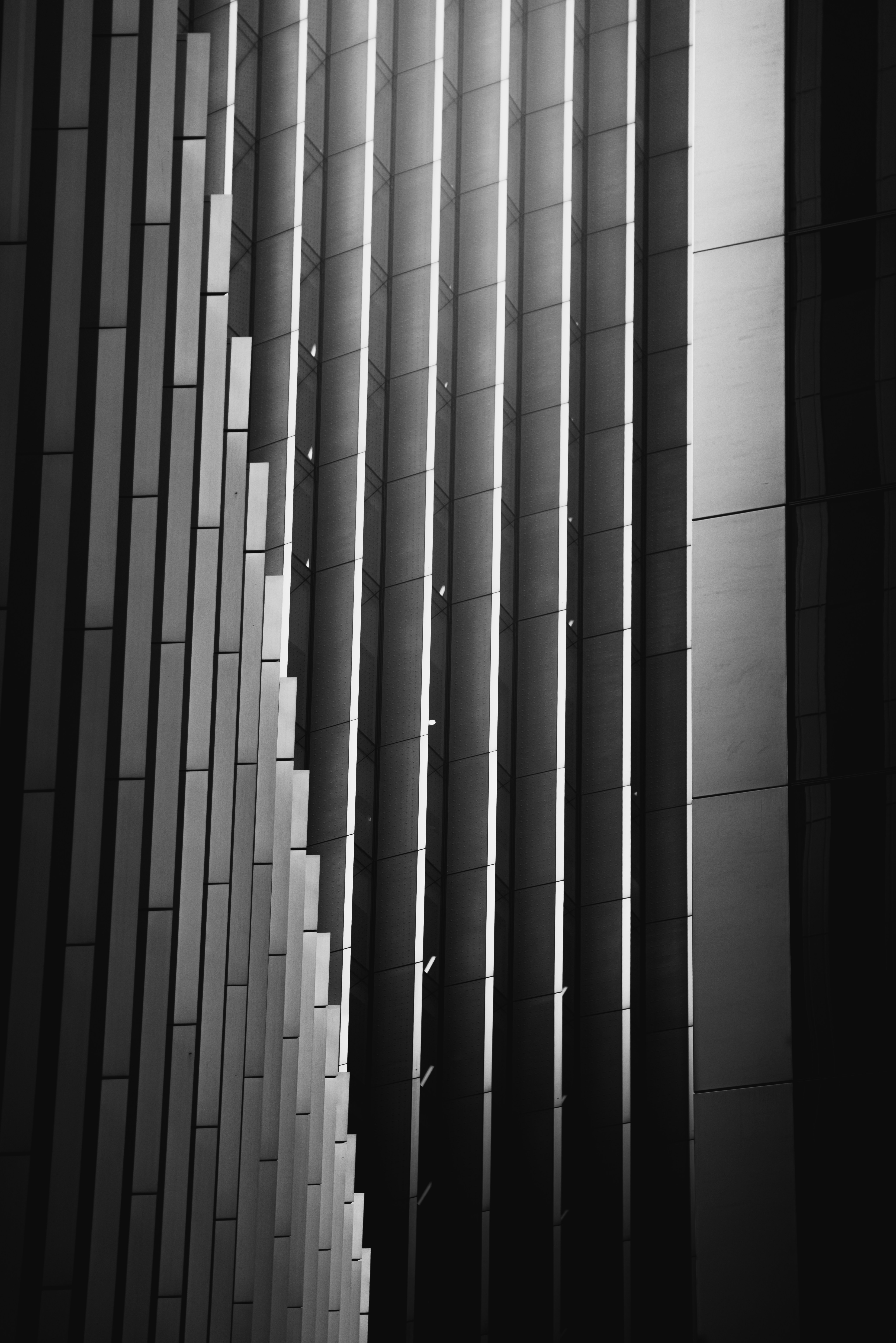 Photo by infernisvox