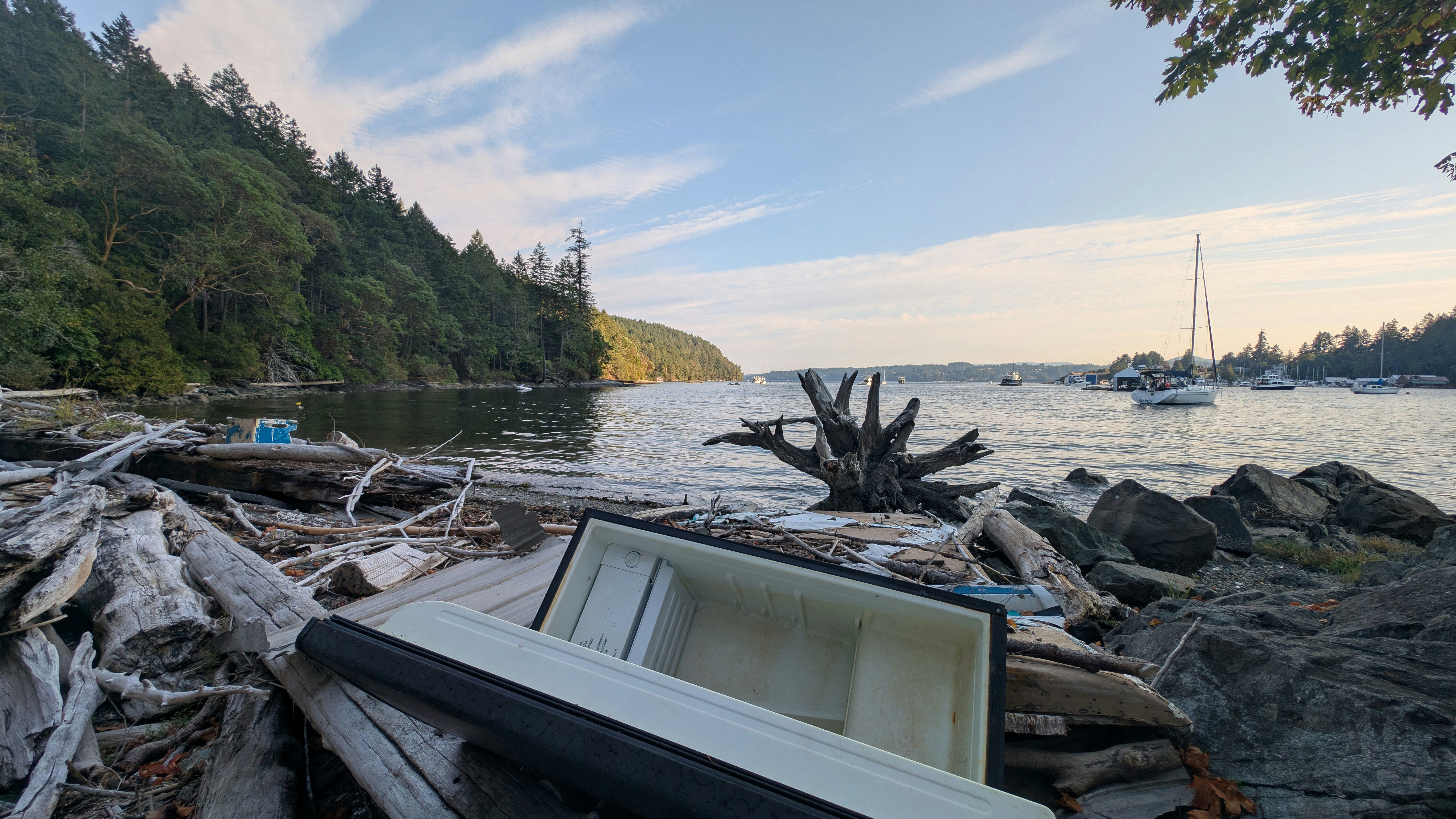 Plage avec bois flotté, glacière et voiliers sur l’eau.
