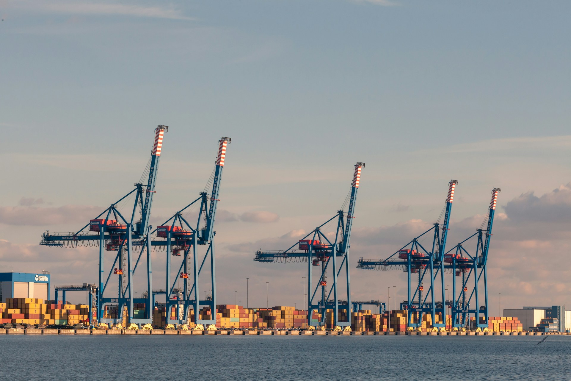 Large industrial cranes at a busy shipping port.