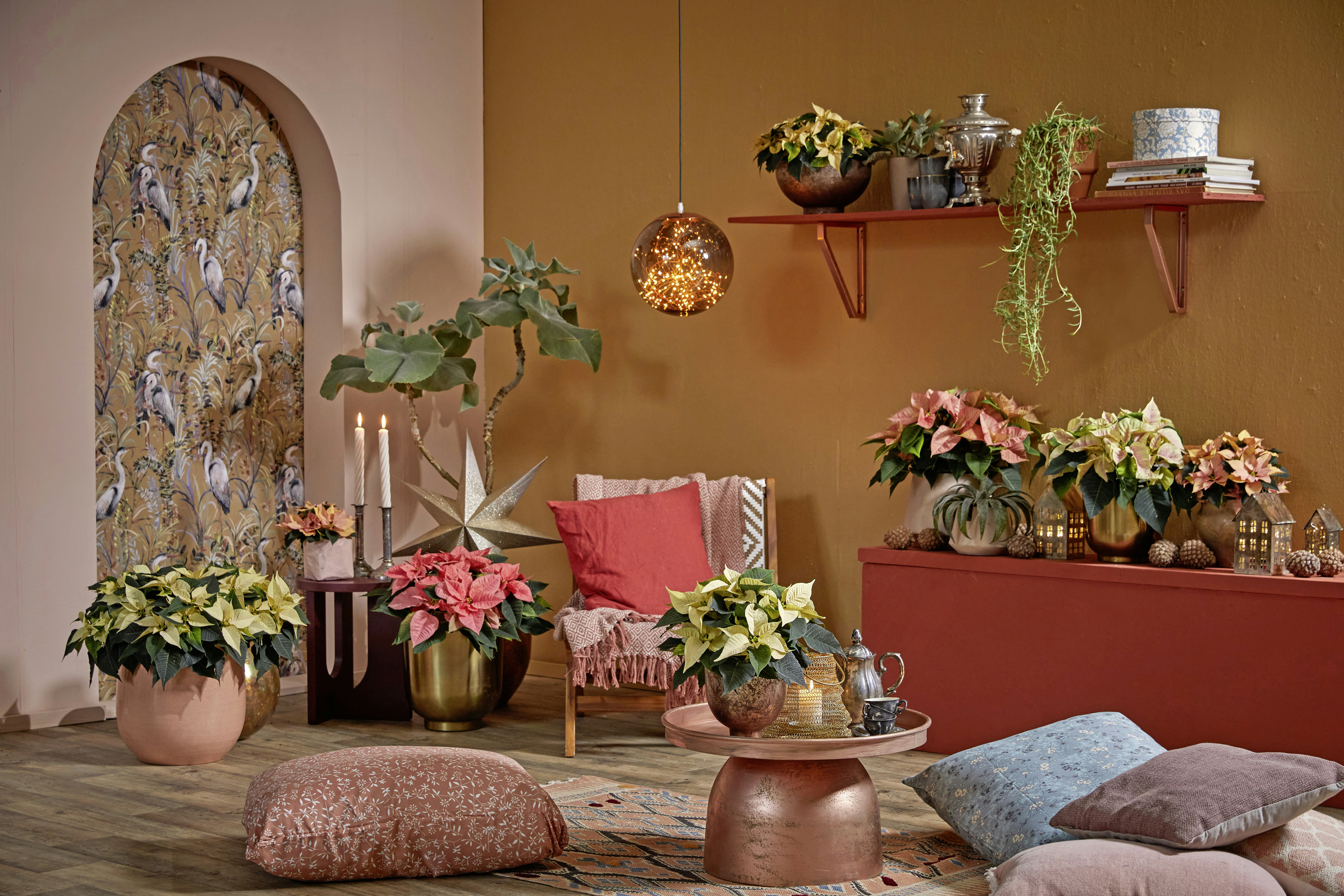 Ein gemütlicher Raum, der mit Weihnachtssternen und Pflanzen im Topf dekoriert ist.