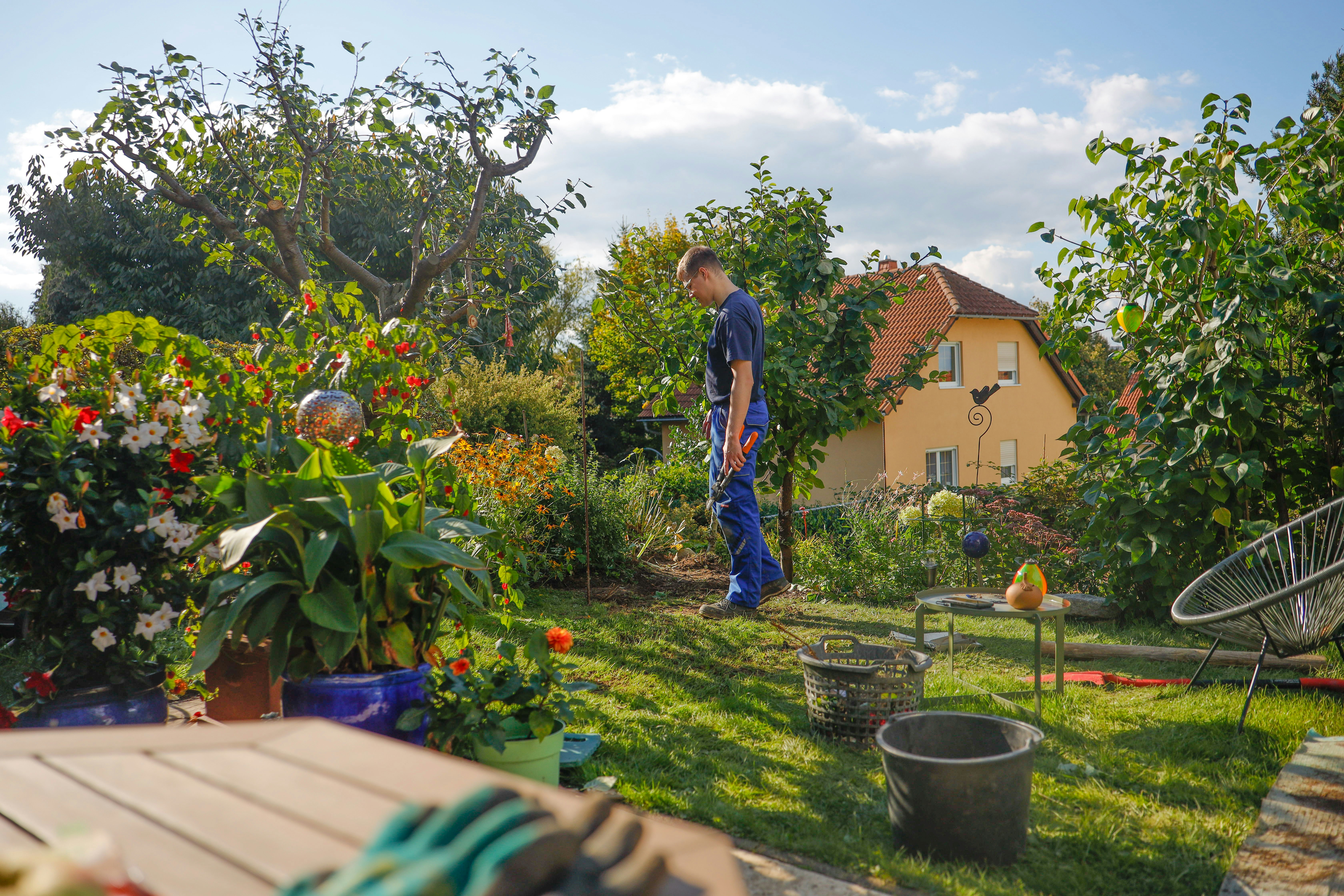 Dirt Under Your Fingernails: The Backyard Vegetable Boom and How to Get Growing