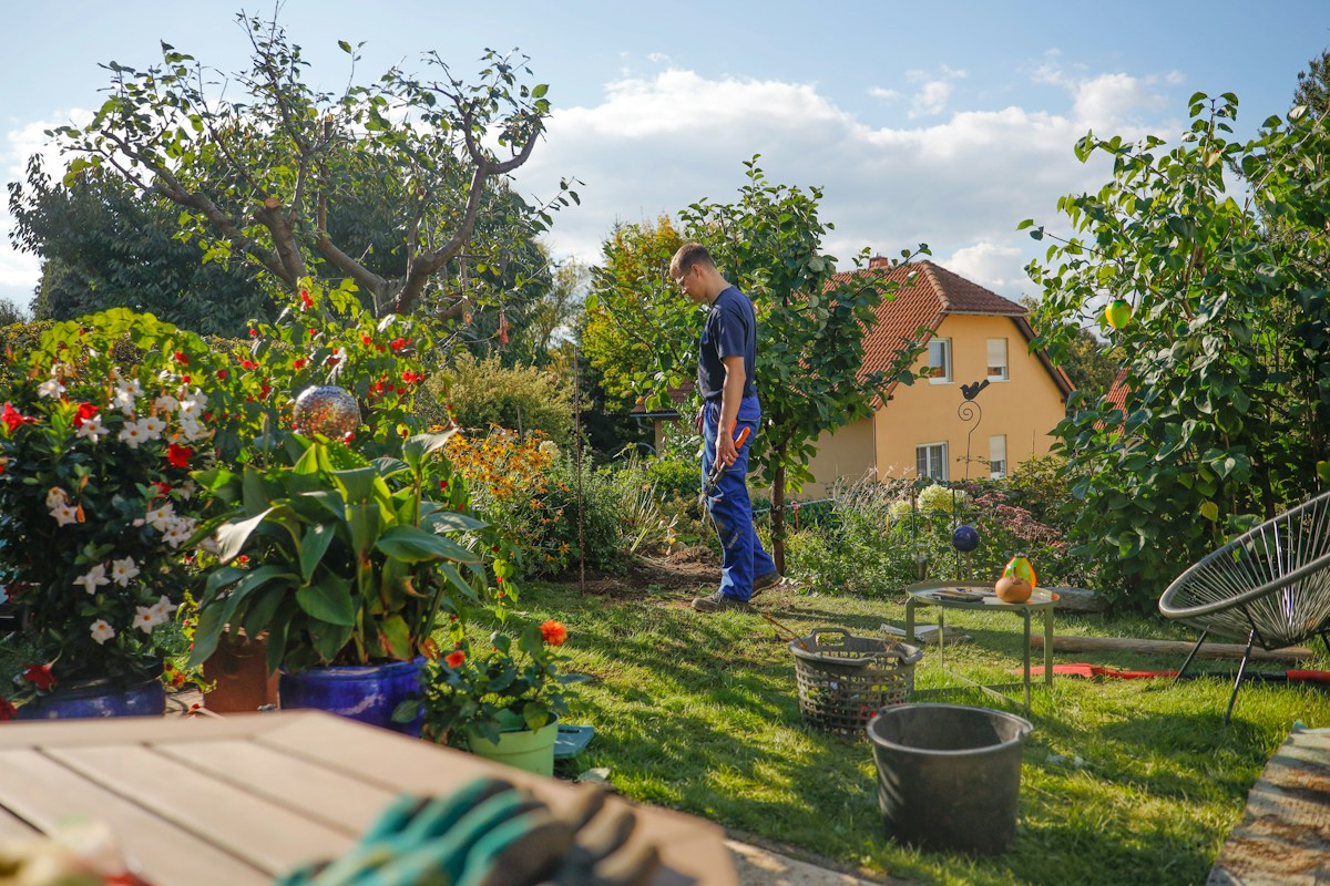 Man walking through a lush garden with a house in the background during college football season.