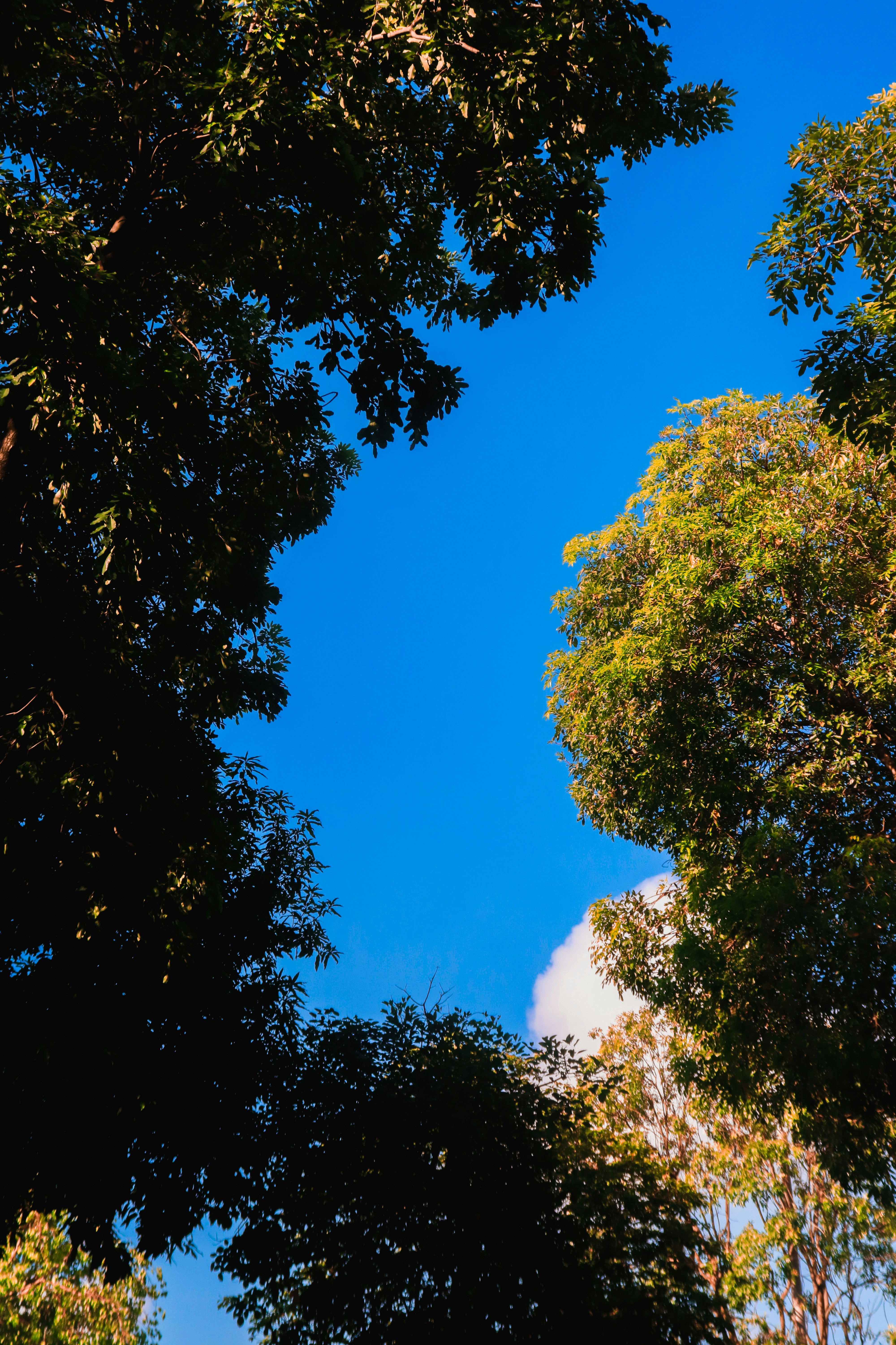 Photo by flying_dutchman_