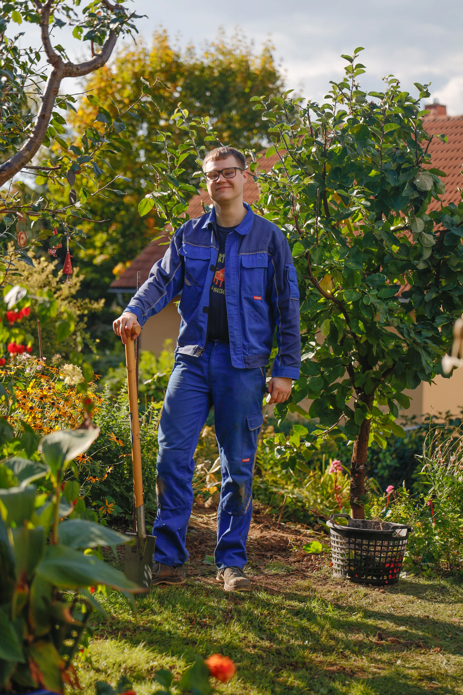 Tree work underway beside a residential property