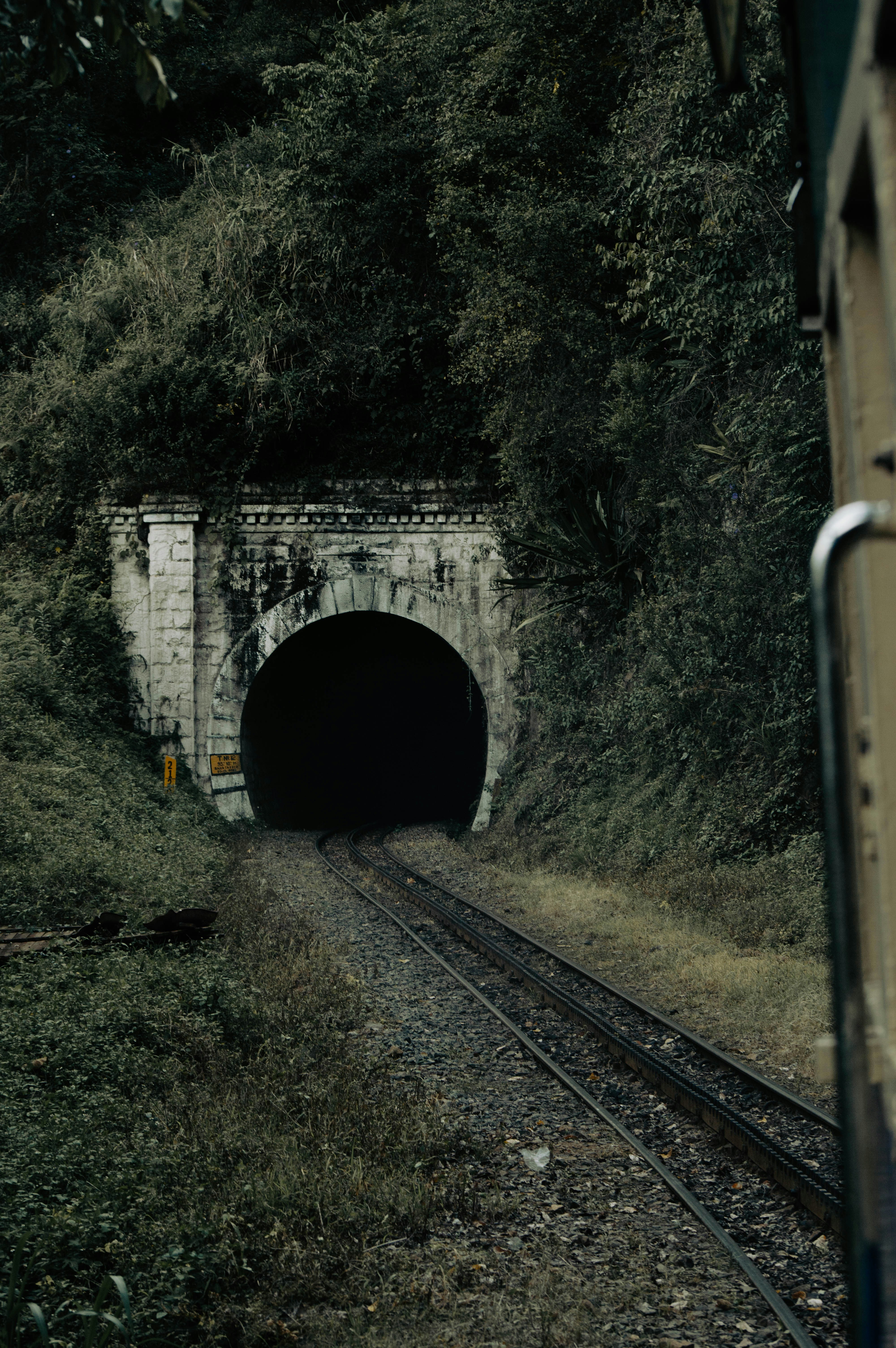 Photo by shreyansh_mishra