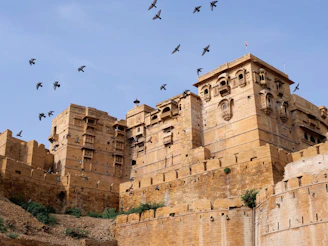 Flock of birds flying over ancient golden fort.