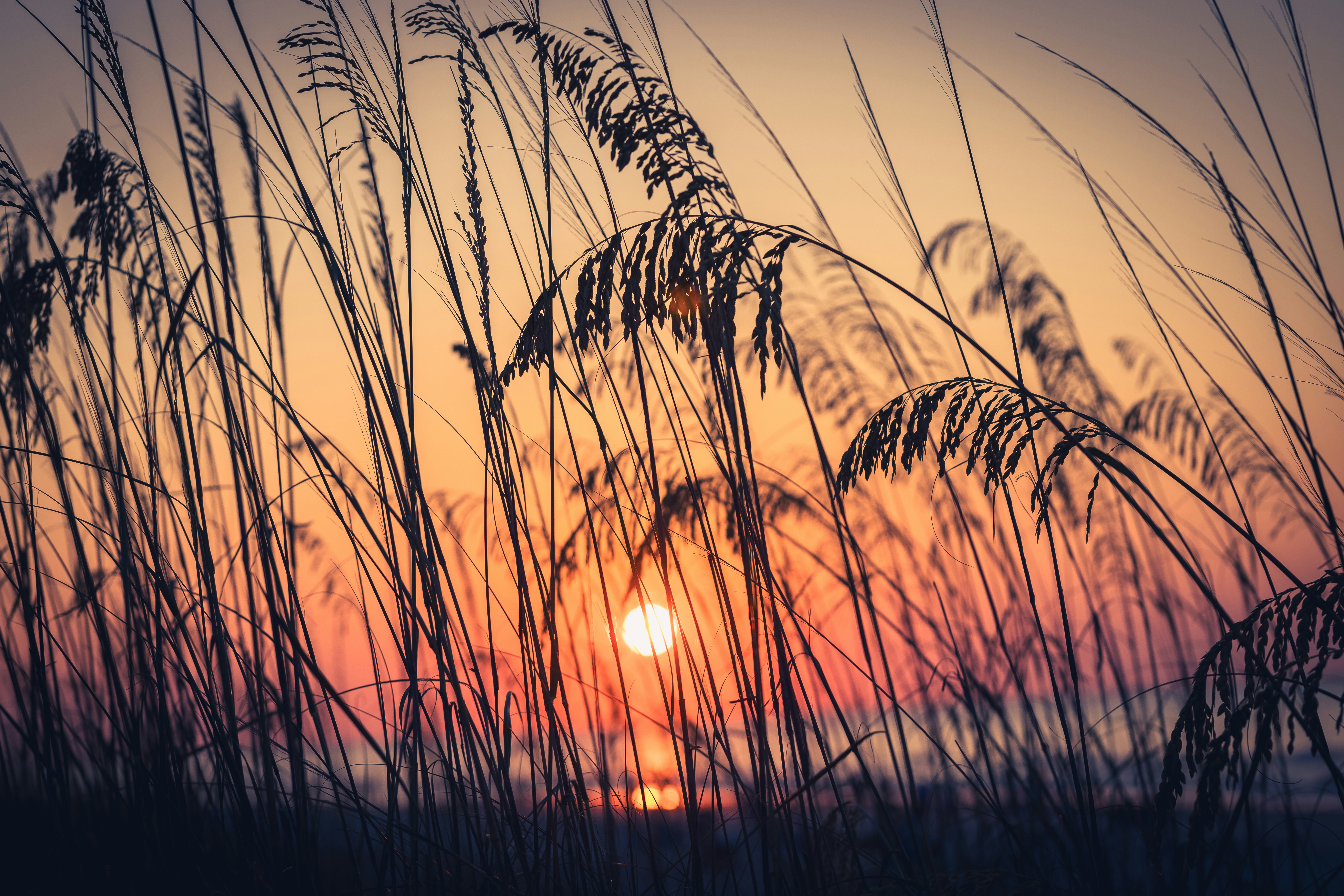 Photo by native7photo