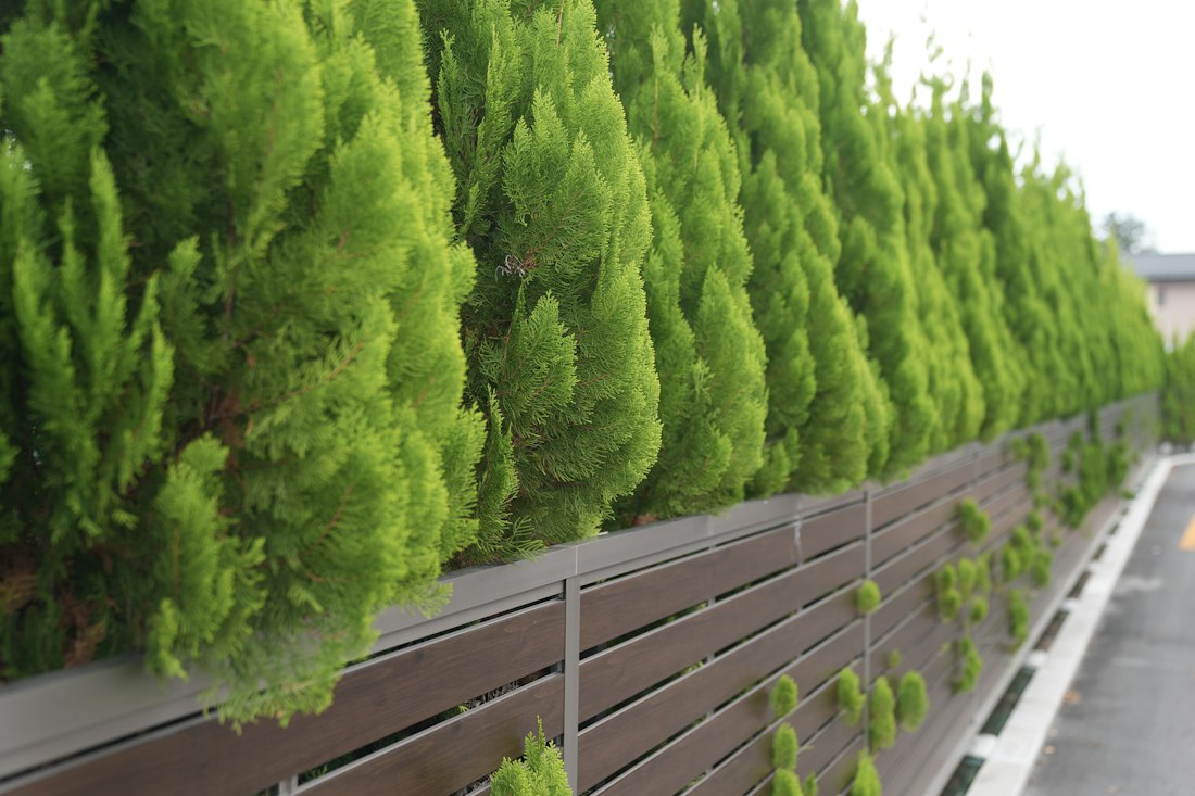 Clôture moderne bordée d'arbres taillés