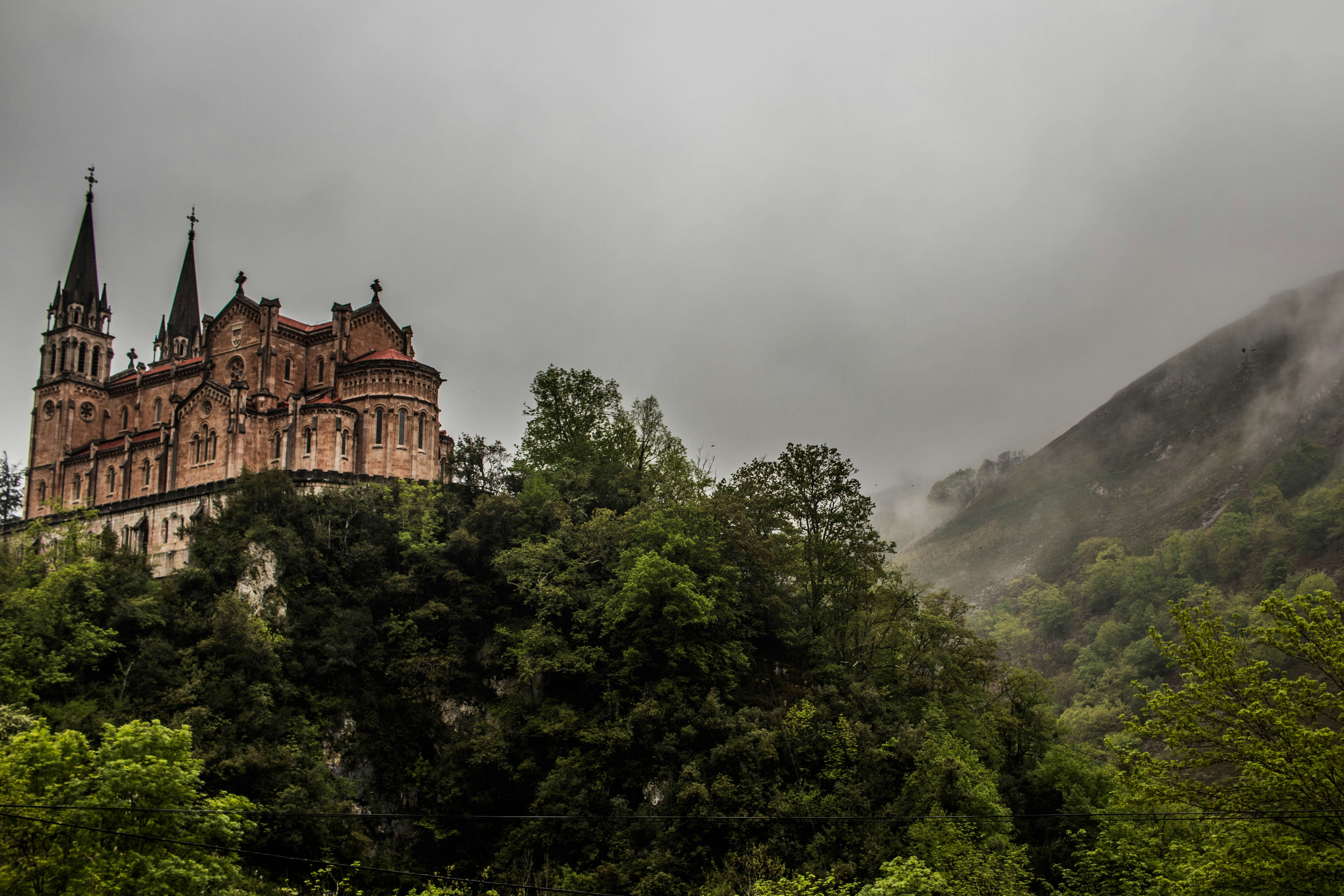 Photo by adrivillab
