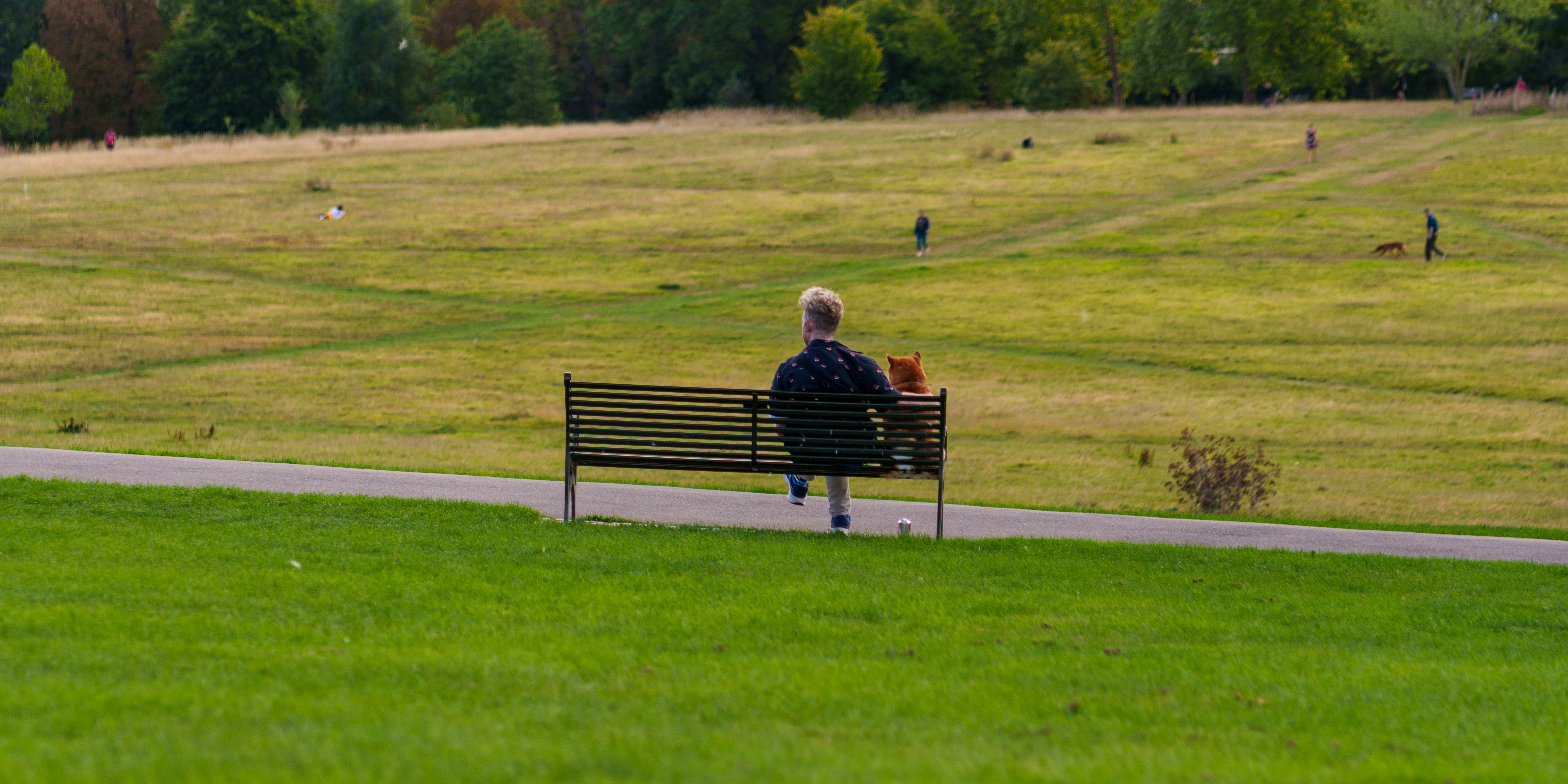 Photo by joakimkingstrom