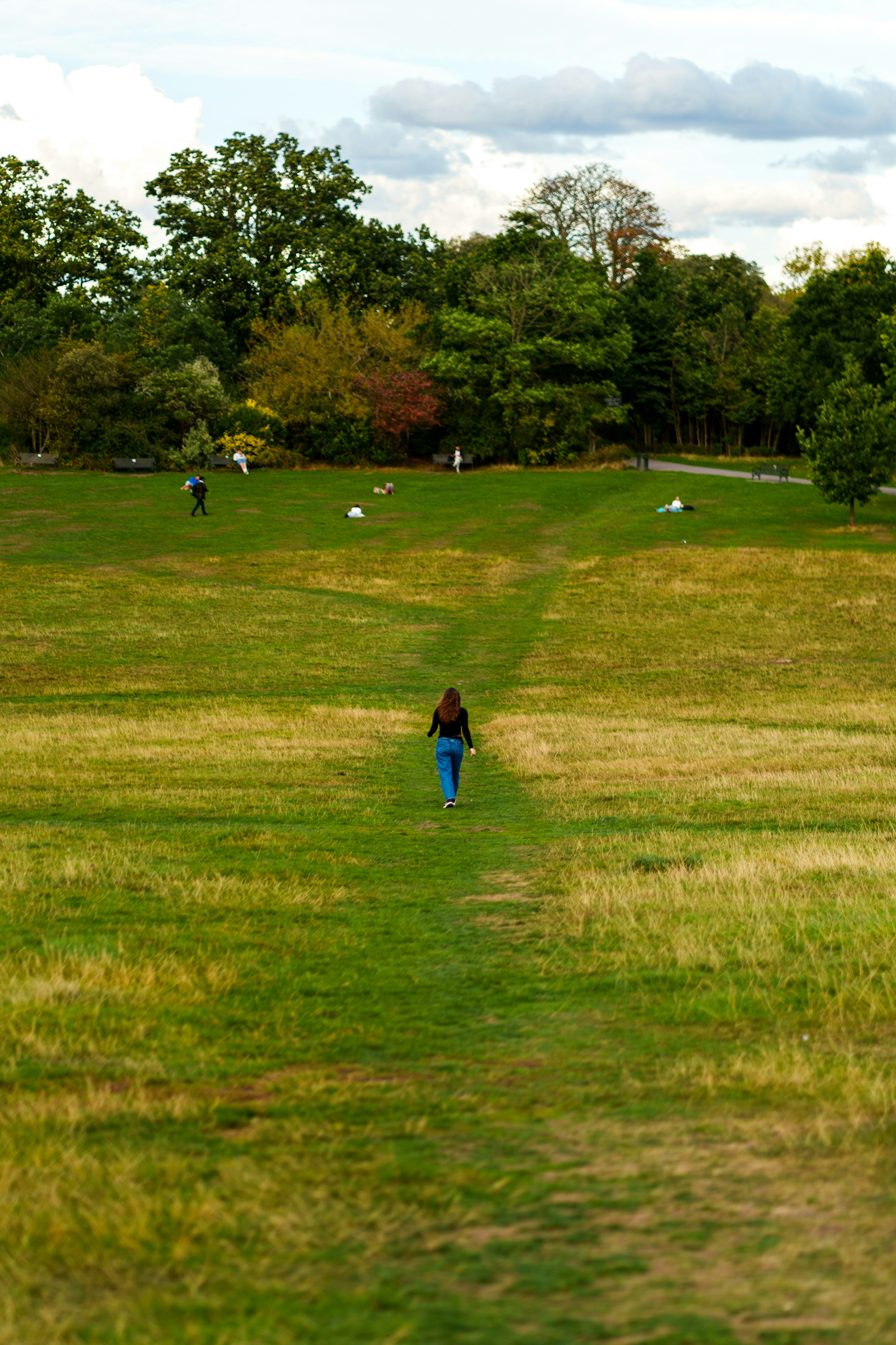 Ruime kampeerplaatsen in het groen