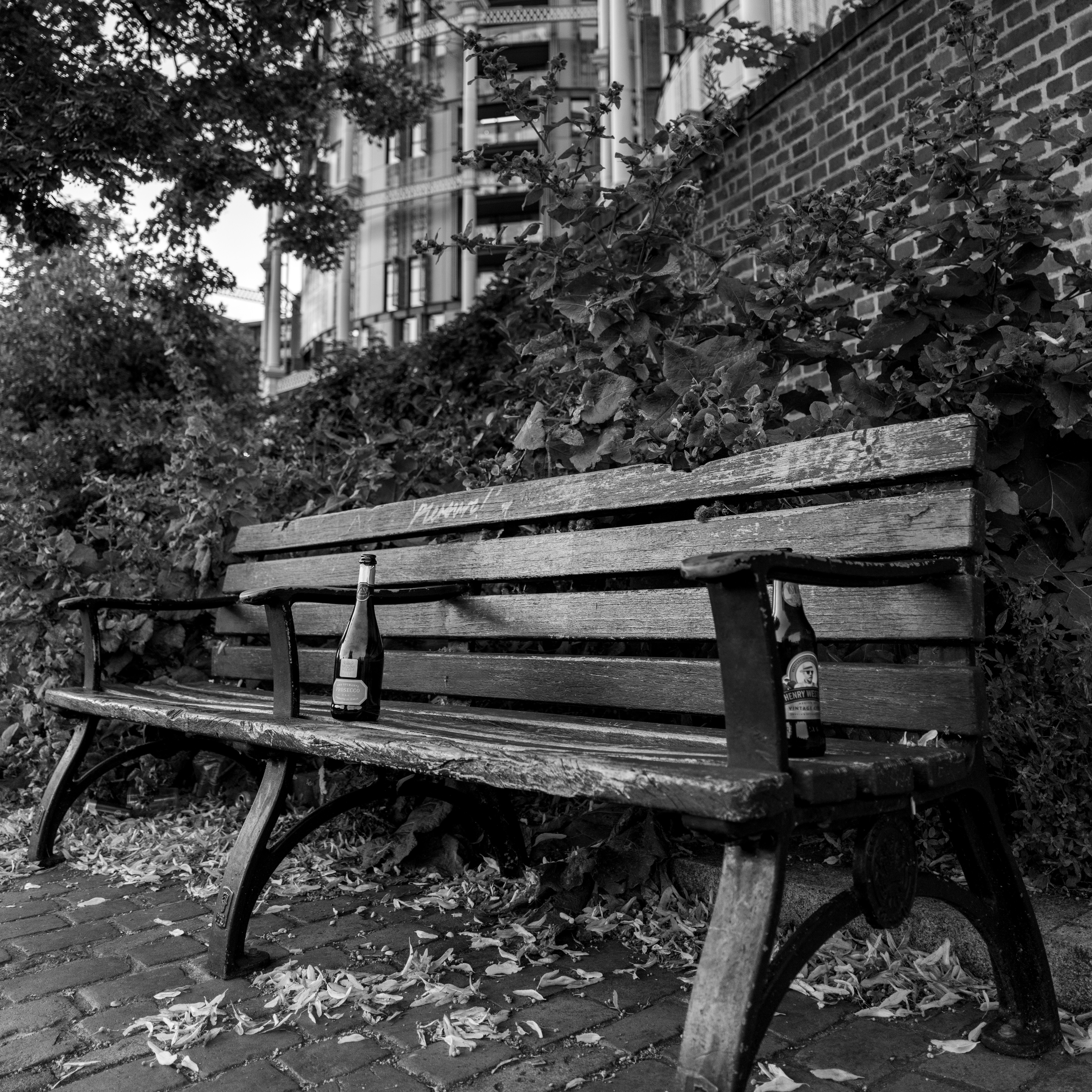 Photo by joakimkingstrom