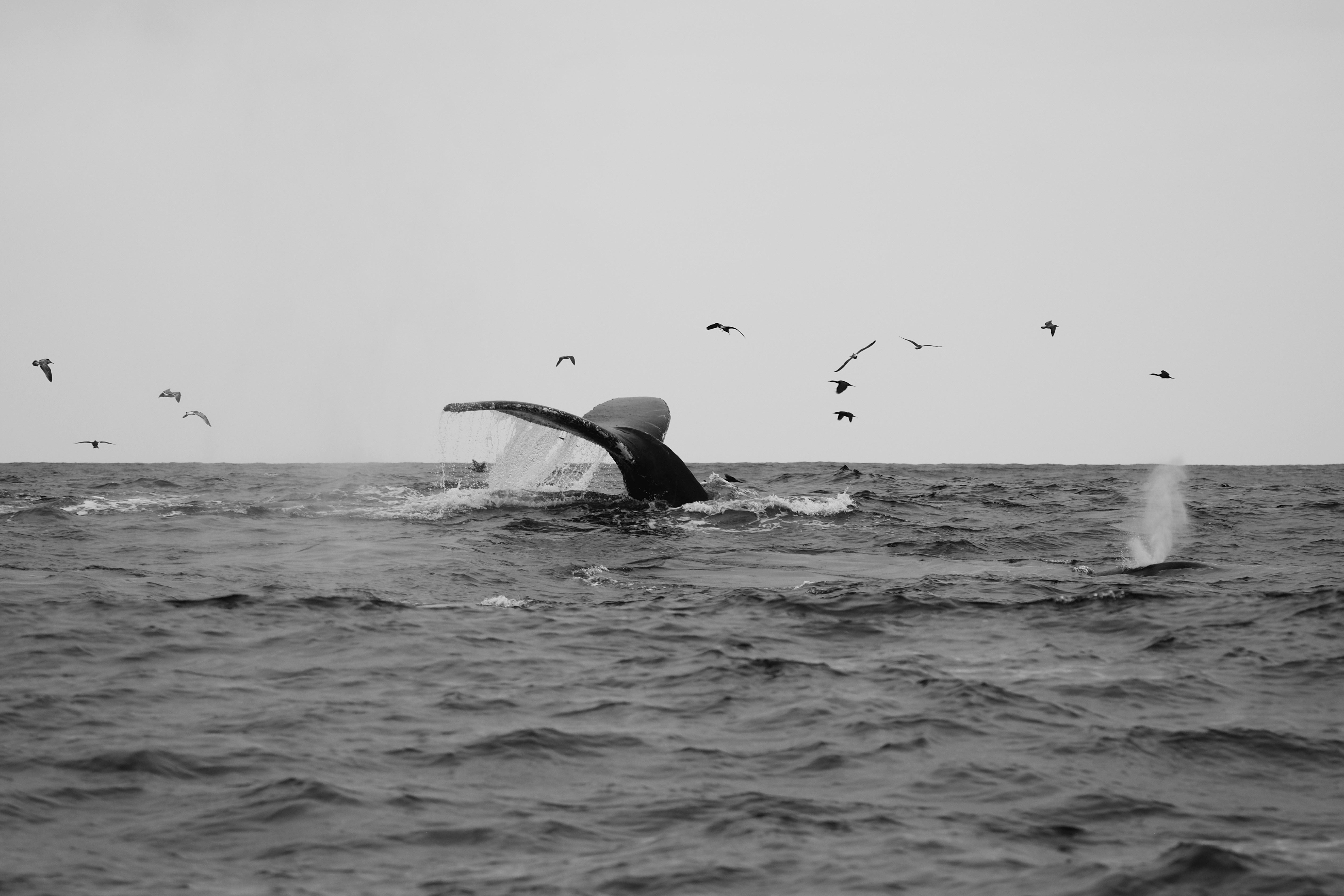 Crucial Rheumatoid Joint Inflammation Therapies You Need To Know