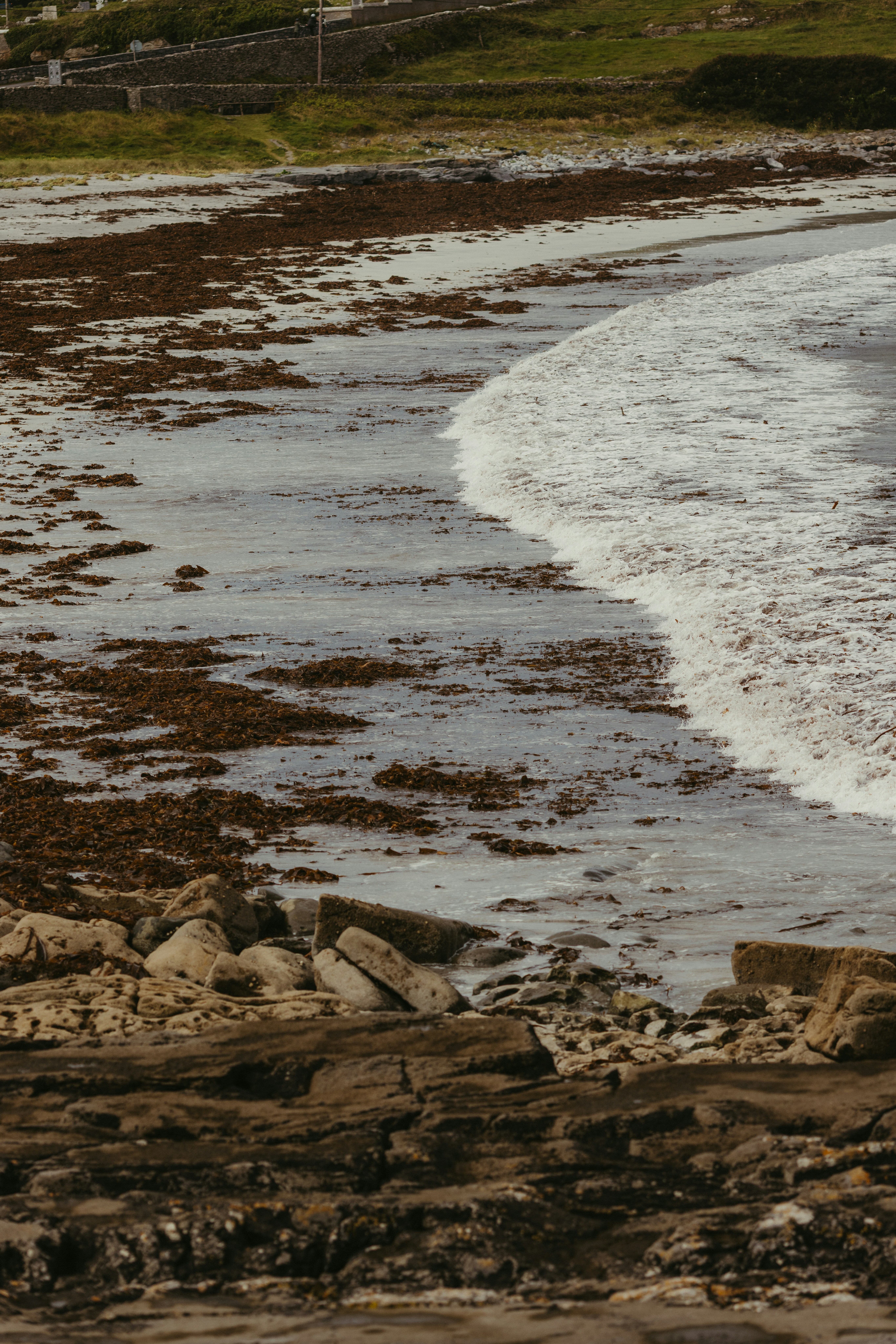 Photo by jonathanborba