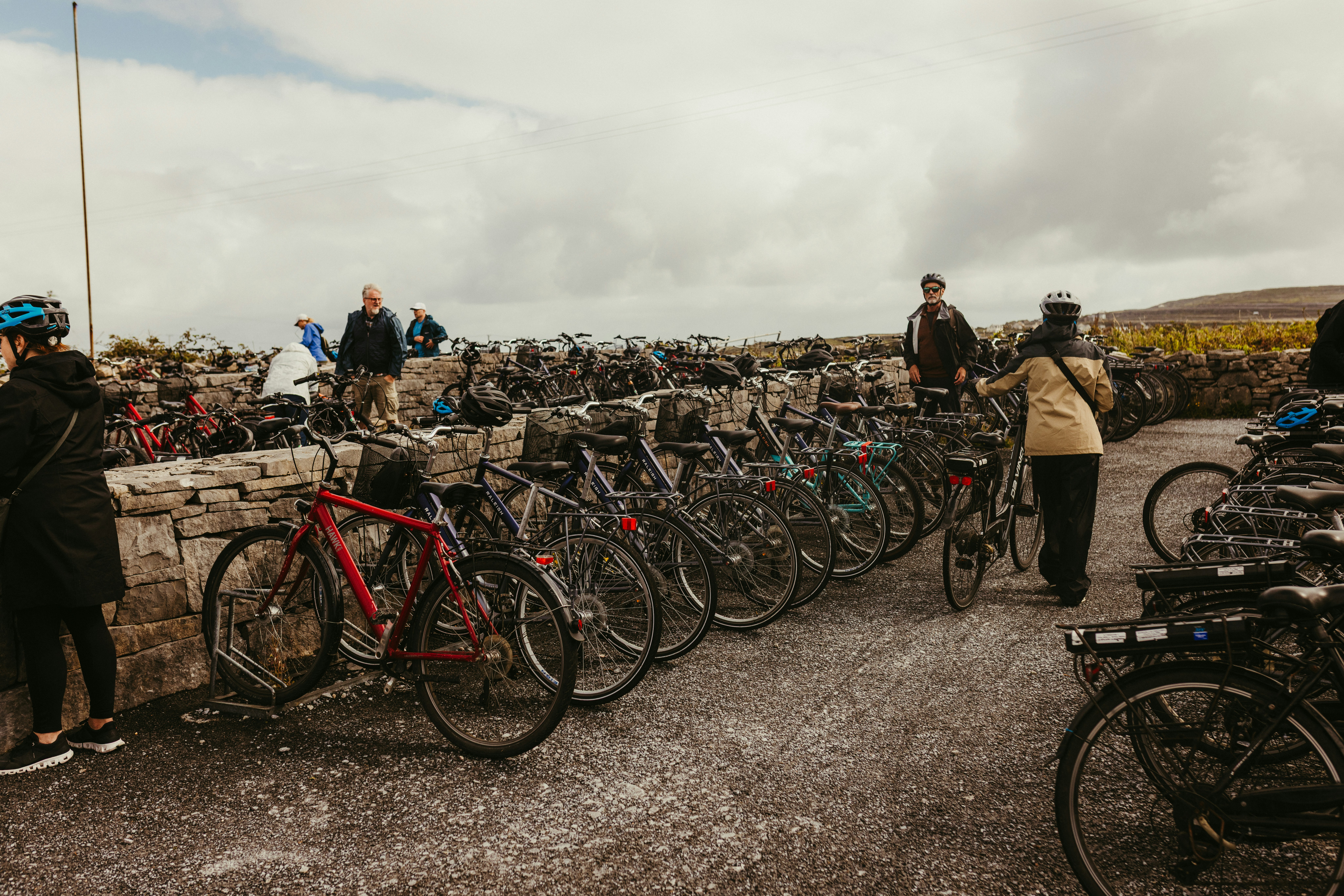 Many bicycles parked in a row outdoors