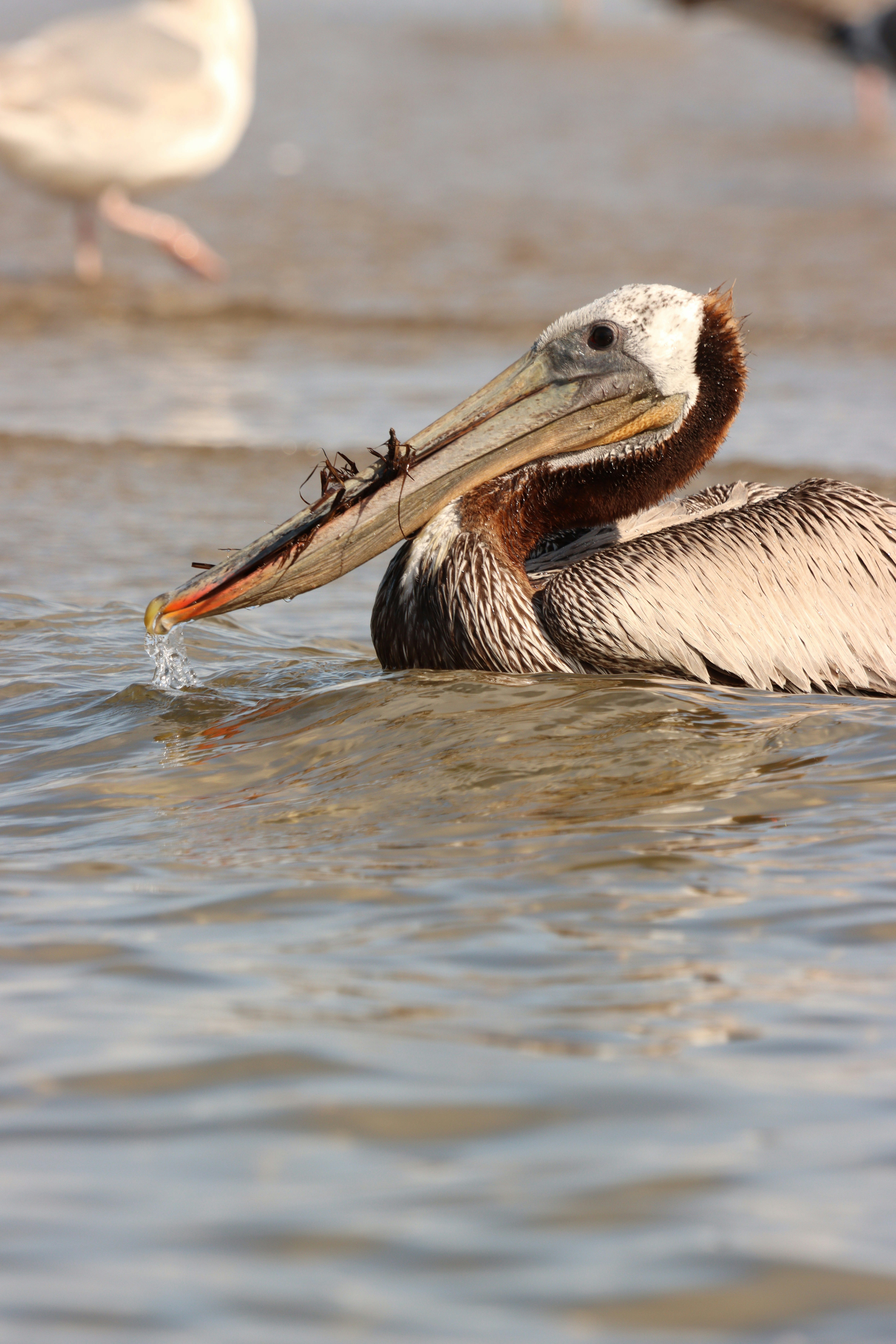 Photo by mandihchapman