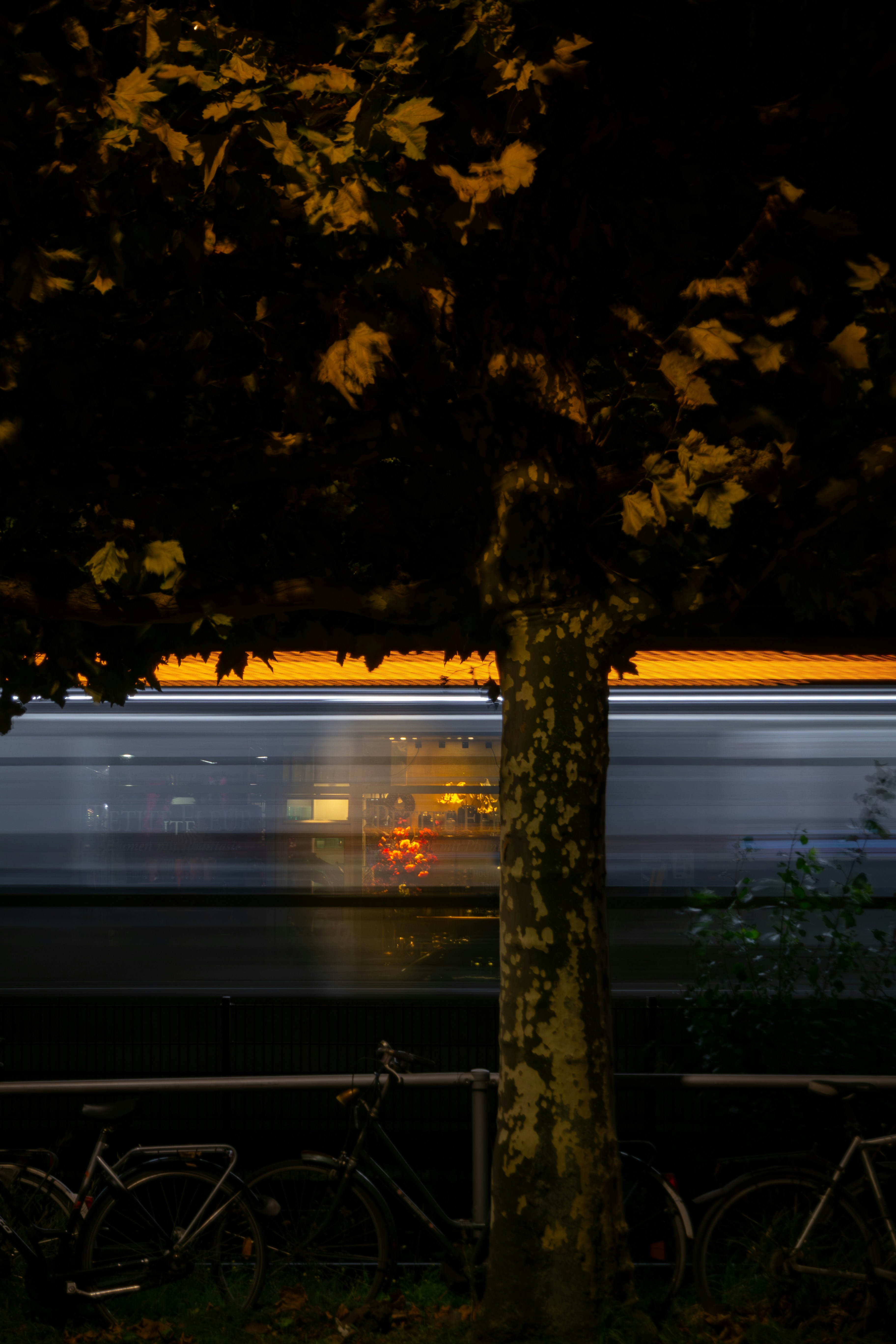 Tronco de árvore com luzes borradas do trem na noite
