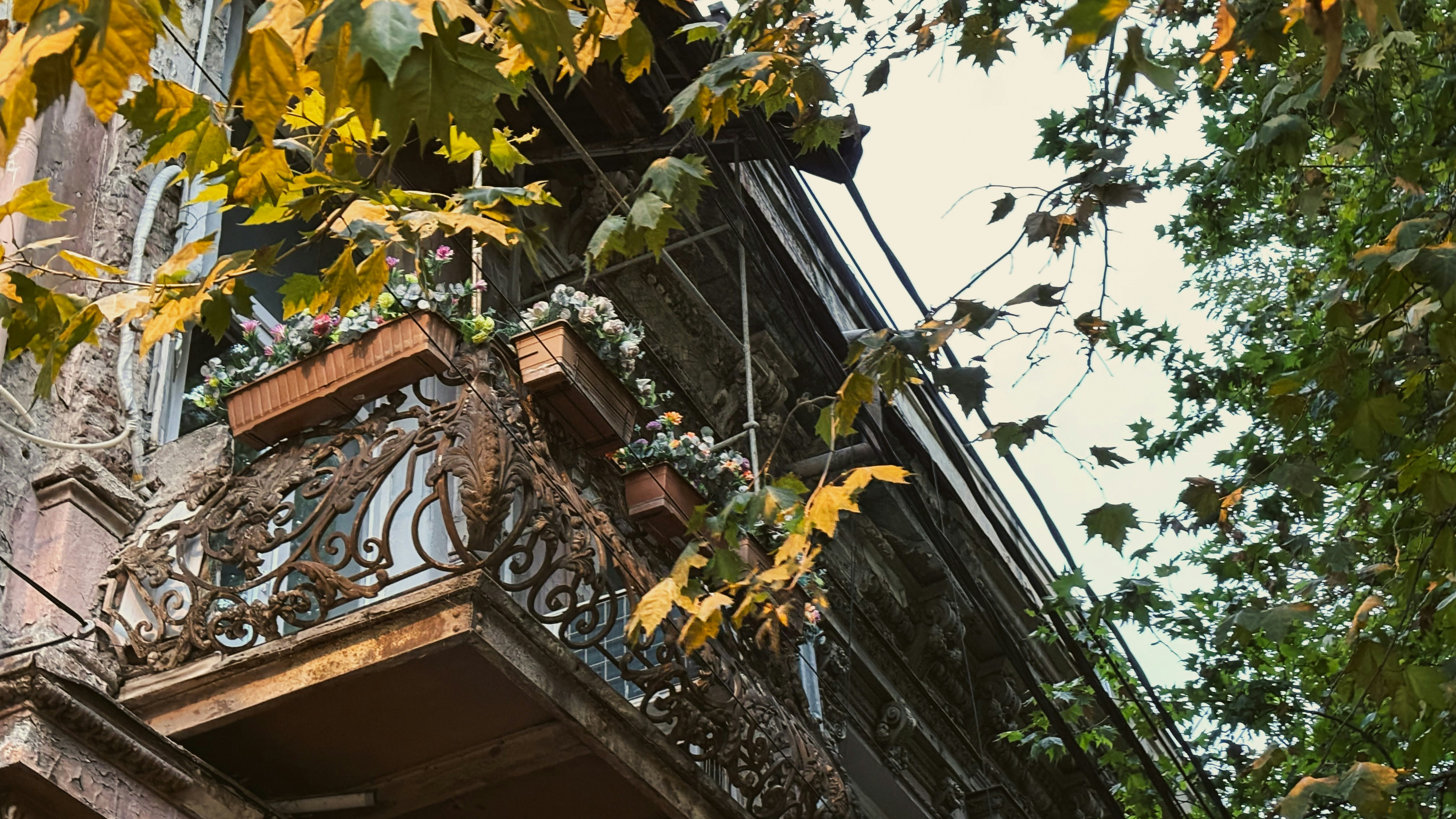 Photo by rkdotdesign